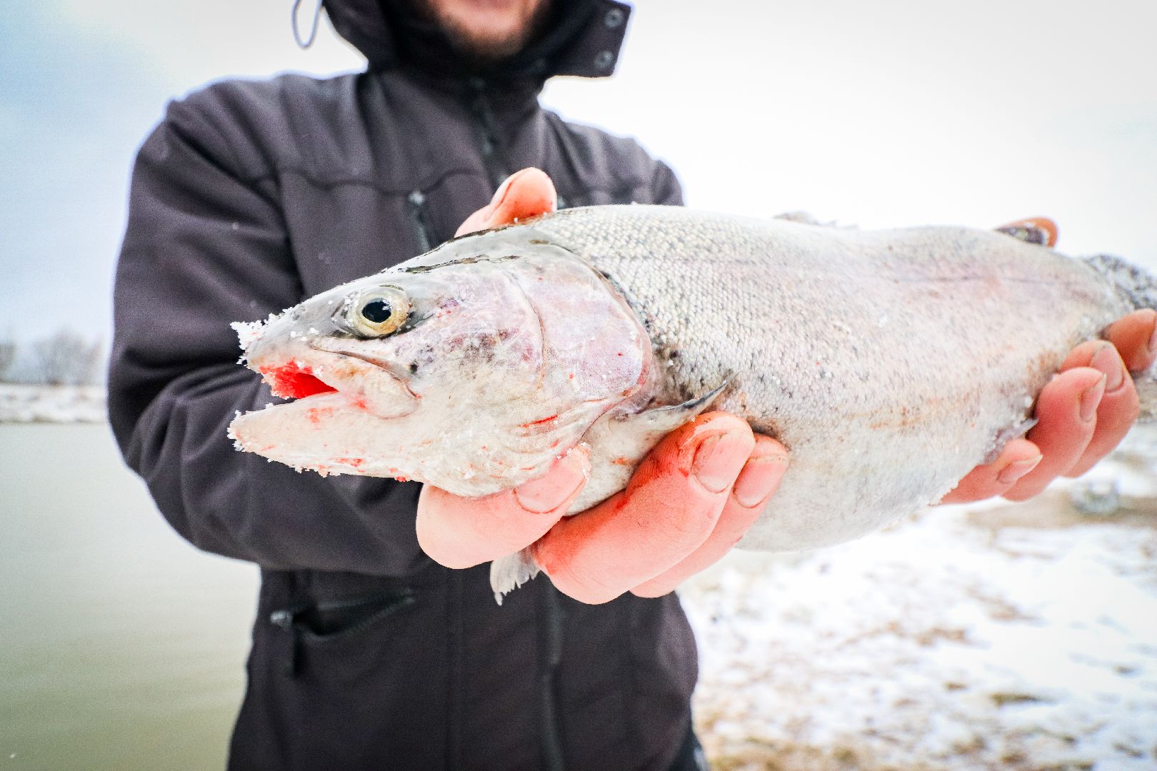 Клин, общество, рыбалка, туризм, Подмосковье, отдых на природе,