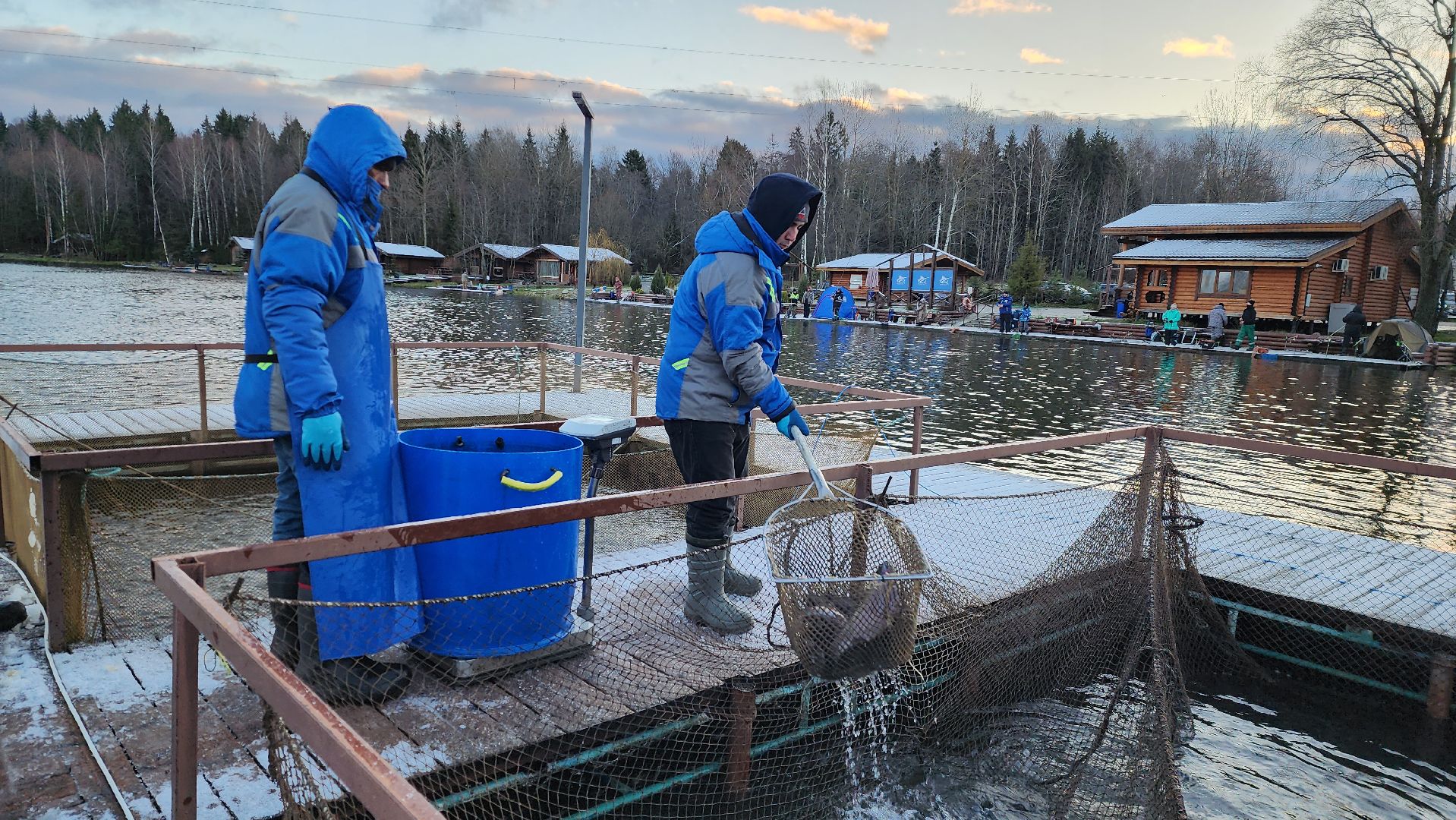 рыбалка, форель, истра,