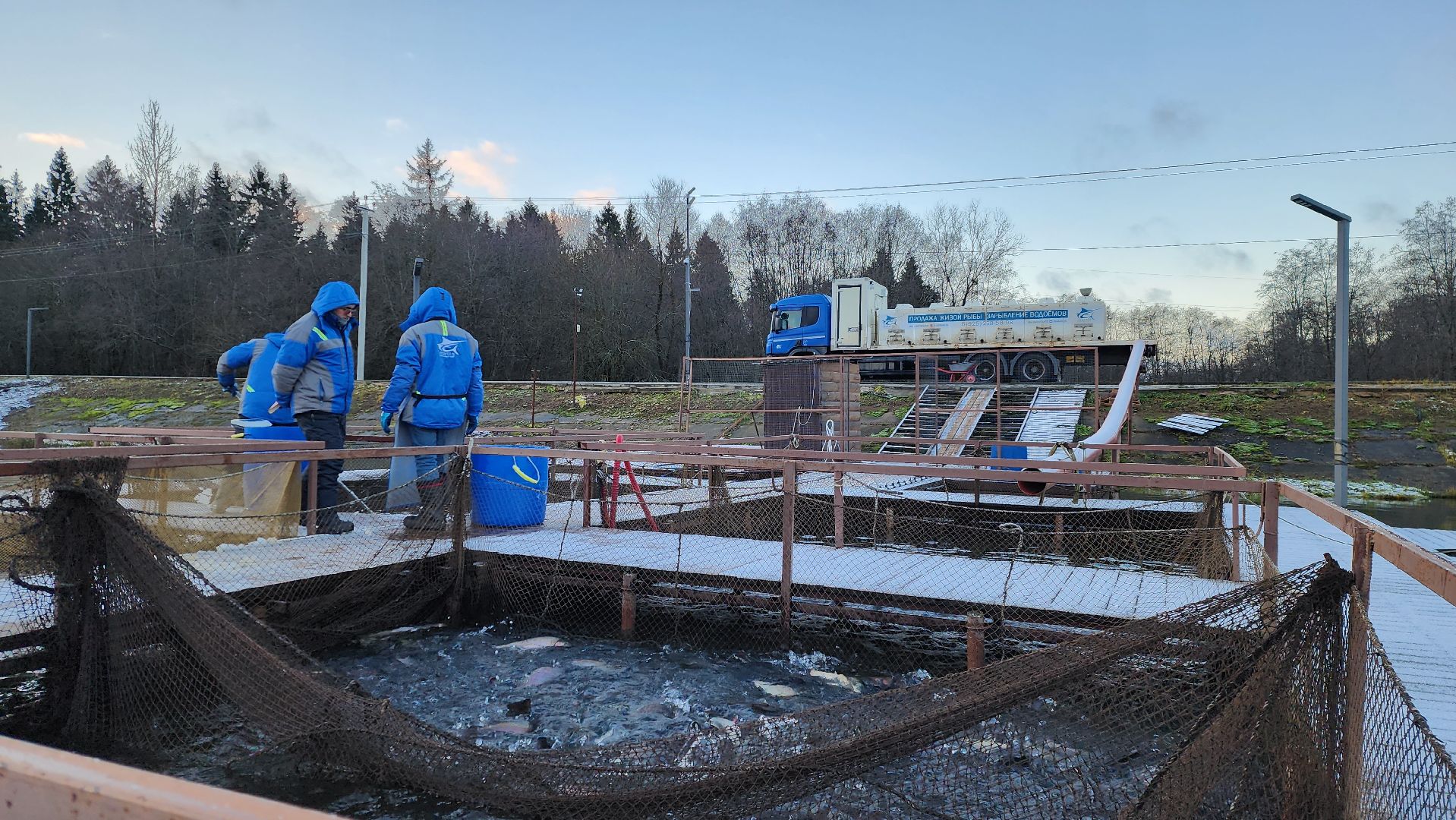 рыбалка, форель, истра,