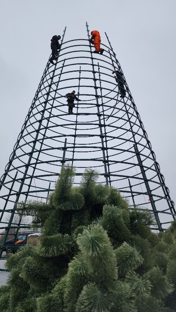 ёлка, новогодняя елка, электросталь, зимний сезон, праздник, новогоднее оформление, новогоднее настроение, новогоднее украшение, мбу, мбу благоустройство, вертикалка, вертикальное видео,