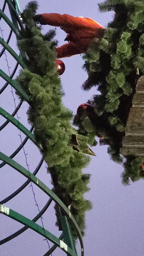 ёлка, новогодняя елка, электросталь, зимний сезон, праздник, новогоднее оформление, новогоднее настроение, новогоднее украшение, мбу, мбу благоустройство, вертикалка, вертикальное видео,