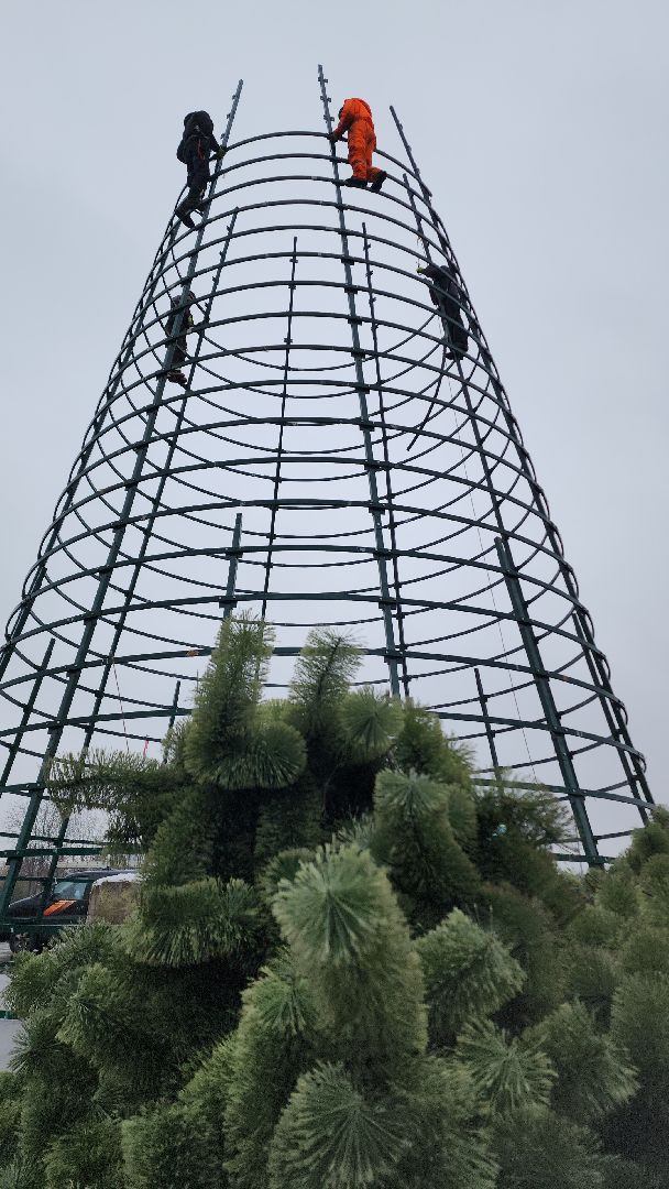 ёлка, новогодняя елка, электросталь, зимний сезон, праздник, новогоднее оформление, новогоднее настроение, новогоднее украшение, мбу, мбу благоустройство, вертикалка, вертикальное видео,