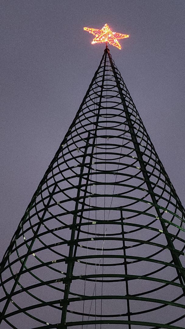 ёлка, новогодняя елка, электросталь, зимний сезон, праздник, новогоднее оформление, новогоднее настроение, новогоднее украшение, мбу, мбу благоустройство, вертикалка, вертикальное видео,