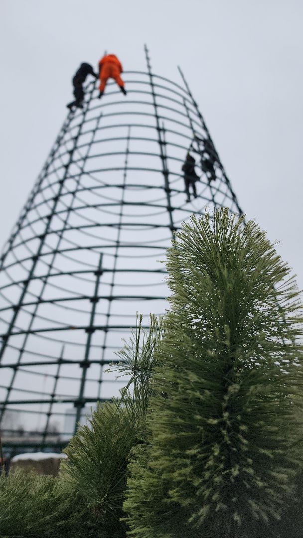 ёлка, новогодняя елка, электросталь, зимний сезон, праздник, новогоднее оформление, новогоднее настроение, новогоднее украшение, мбу, мбу благоустройство, вертикалка, вертикальное видео,