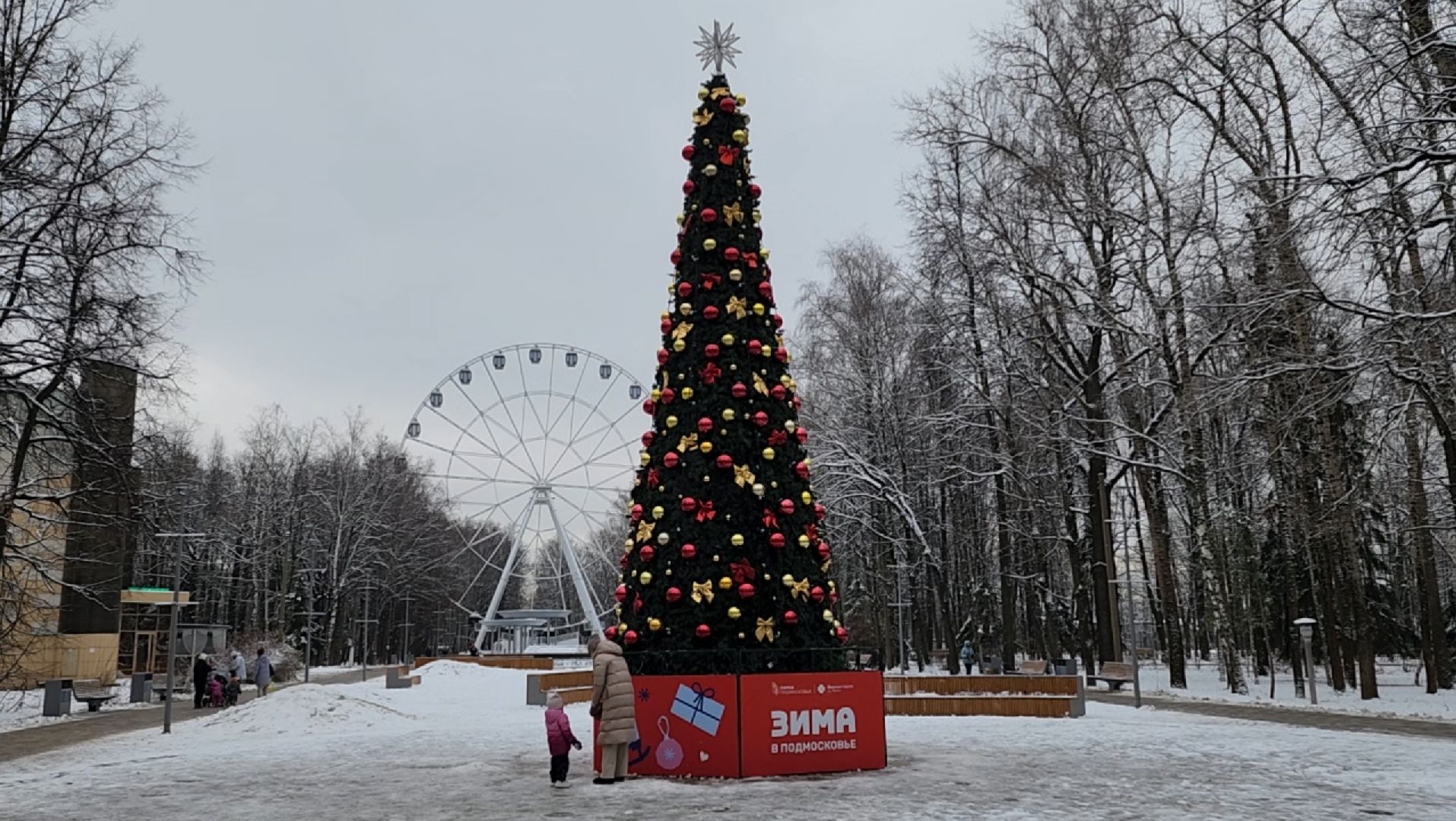 зима, ель, новый год, парк, химки, вертикалки,