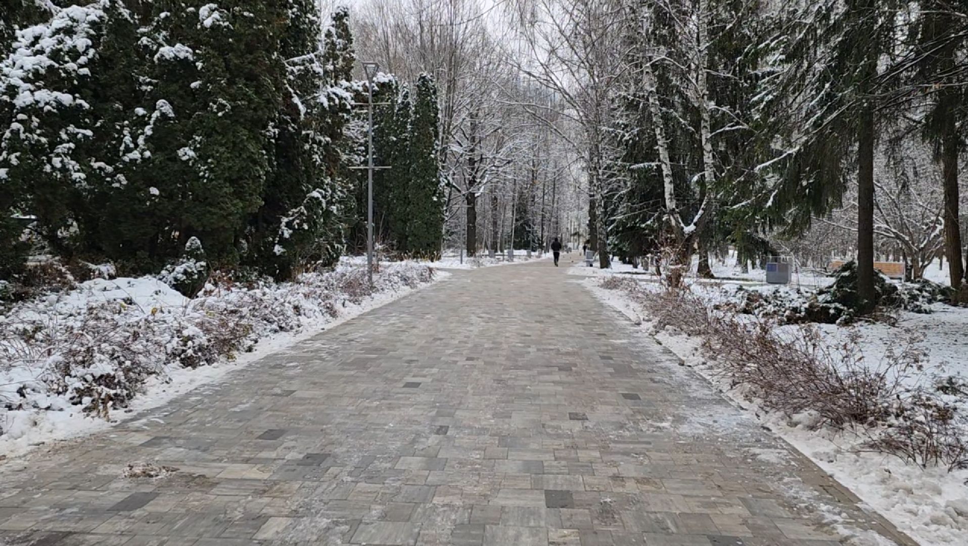 зима, ель, новый год, парк, химки, вертикалки,