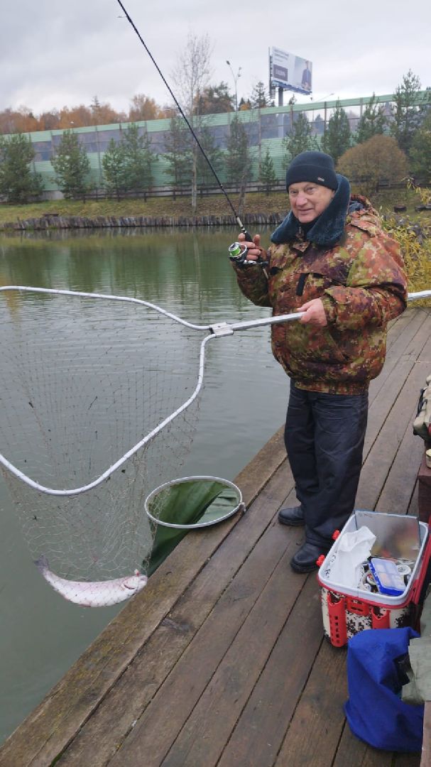 вертикалки, форель, мытищи,