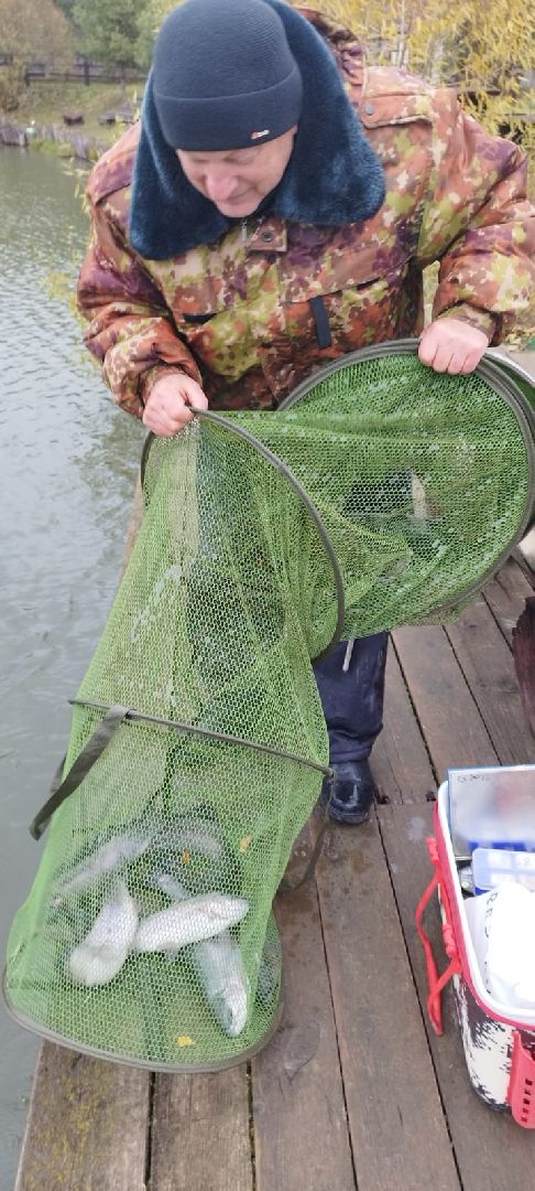 вертикалки, форель, мытищи,