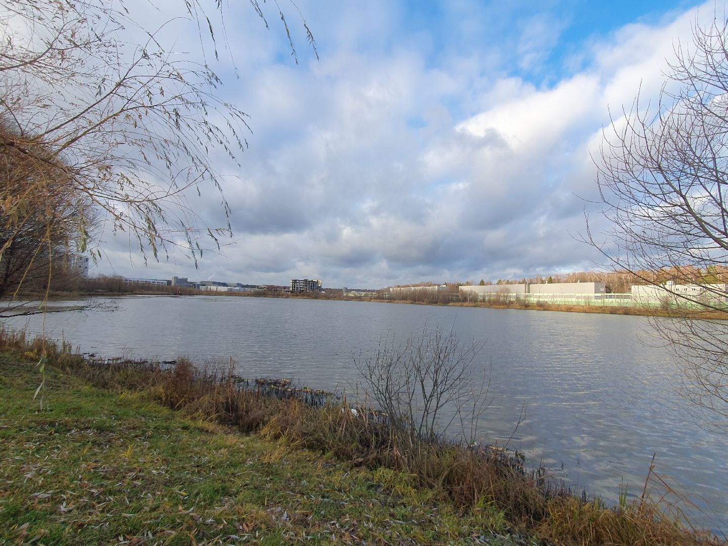 вертикалки, форель, мытищи,