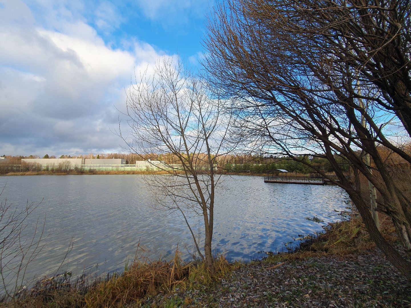 вертикалки, форель, мытищи,