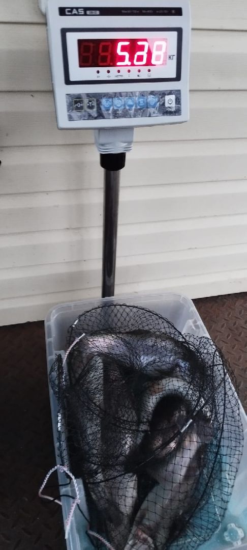 вертикалки, форель, мытищи,