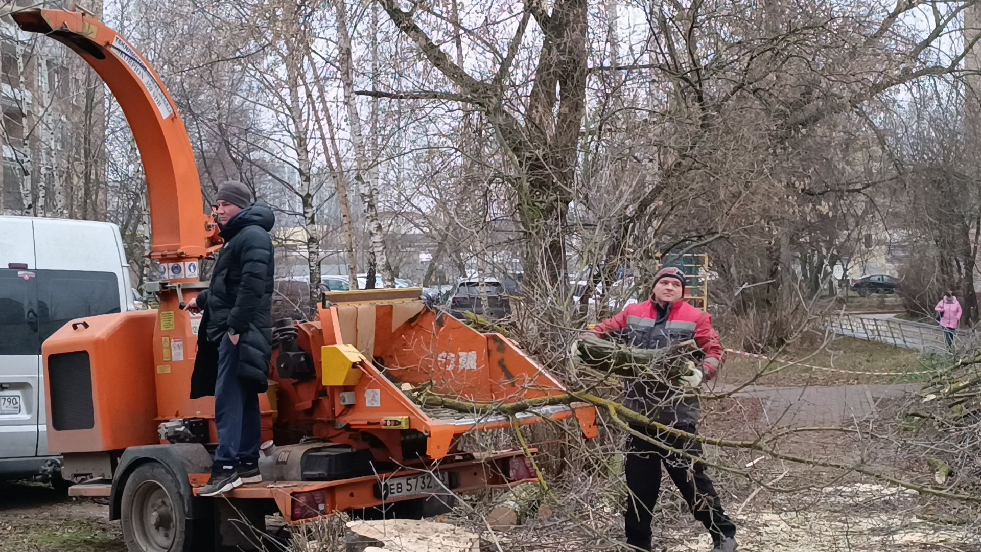 лобня, аварийные деревья, благоустройство, вертикалки,