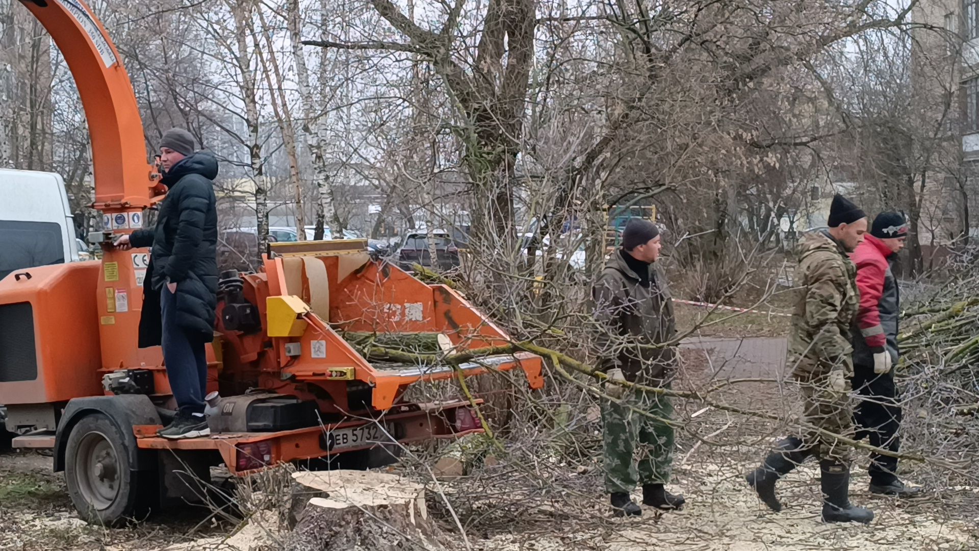 лобня, аварийные деревья, благоустройство, вертикалки,