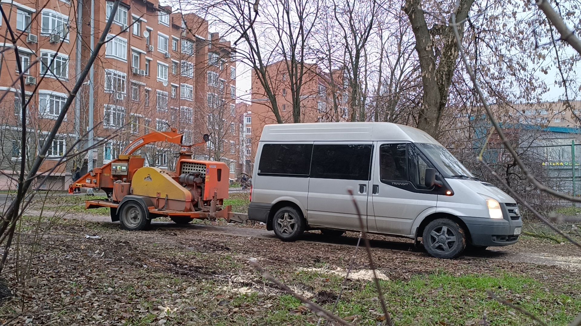 лобня, аварийные деревья, благоустройство, вертикалки,