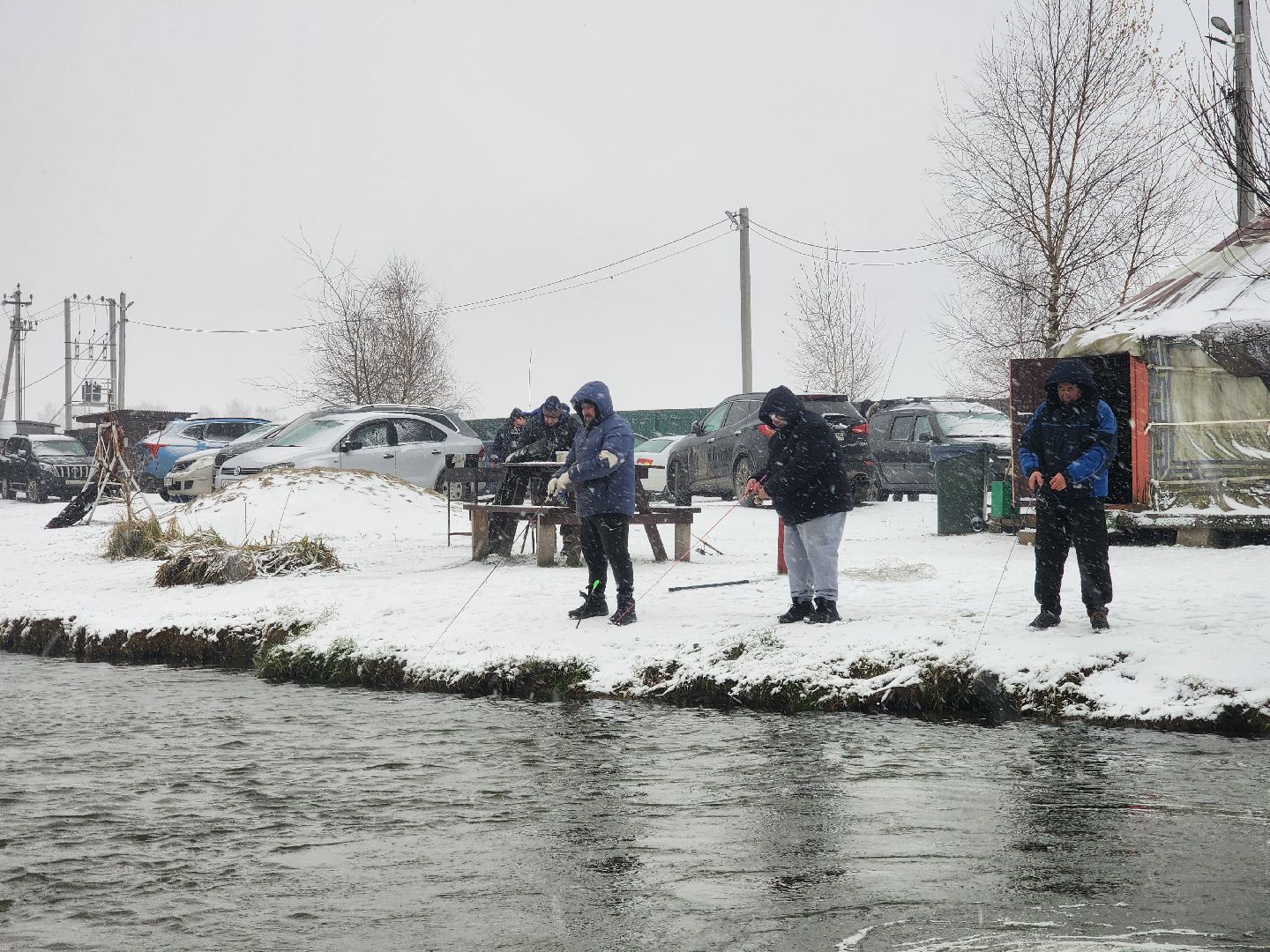 коломна, рыбалка, форель, платная рыбалка,