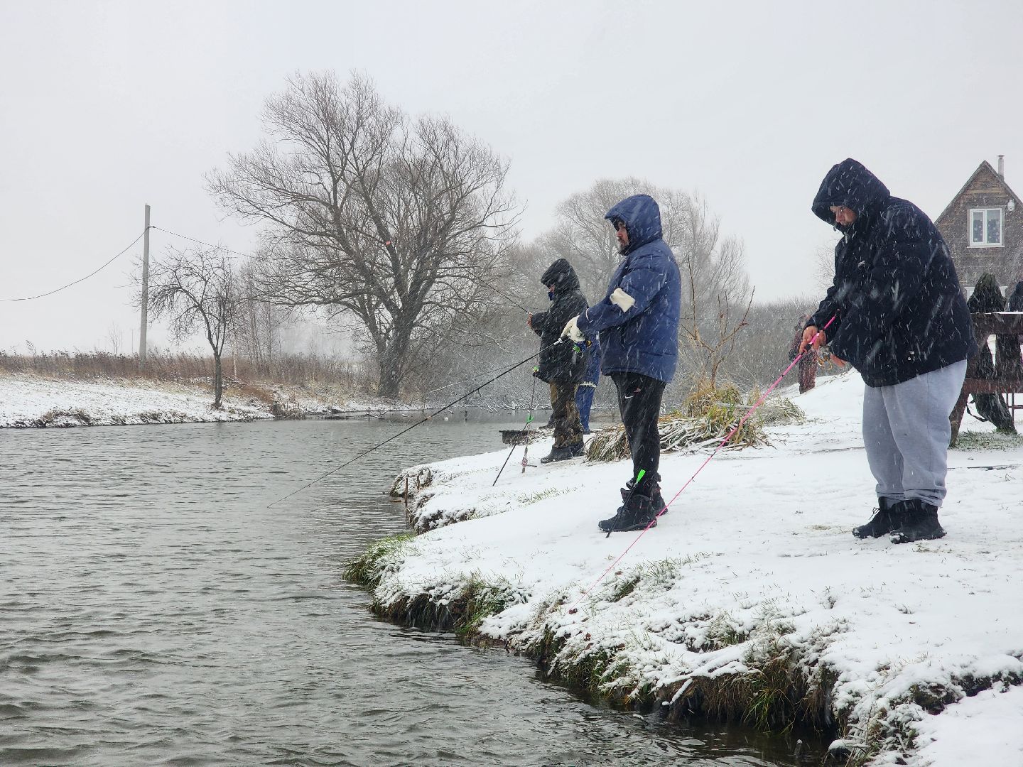 коломна, рыбалка, форель, платная рыбалка,
