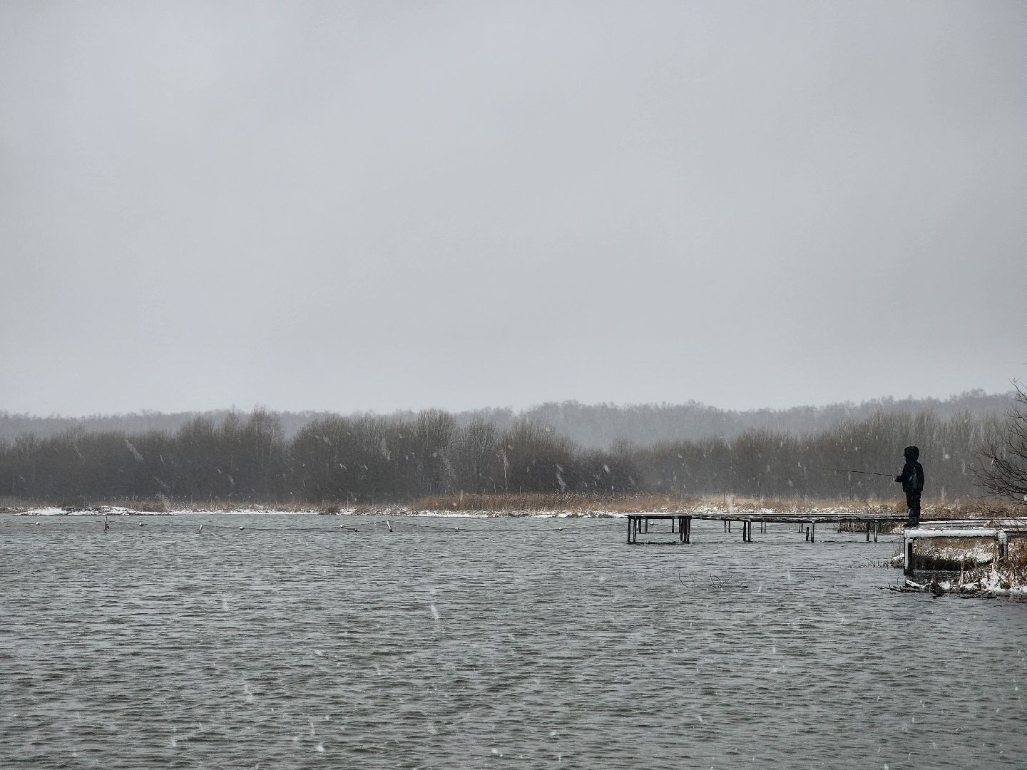 коломна, рыбалка, форель, платная рыбалка,