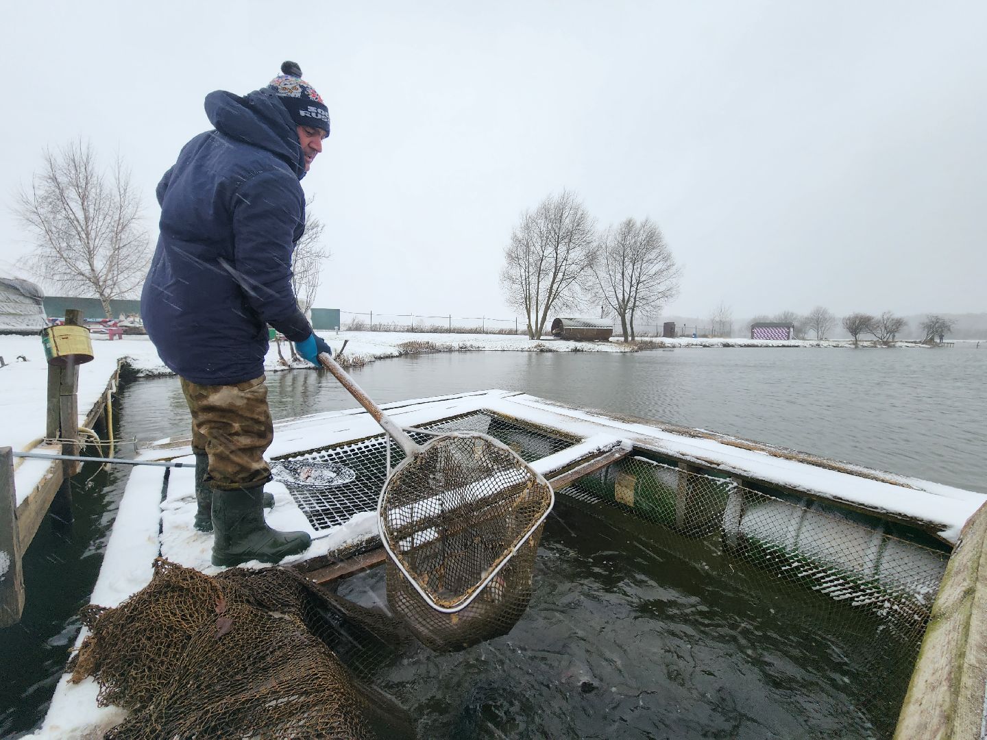 коломна, рыбалка, форель, платная рыбалка,
