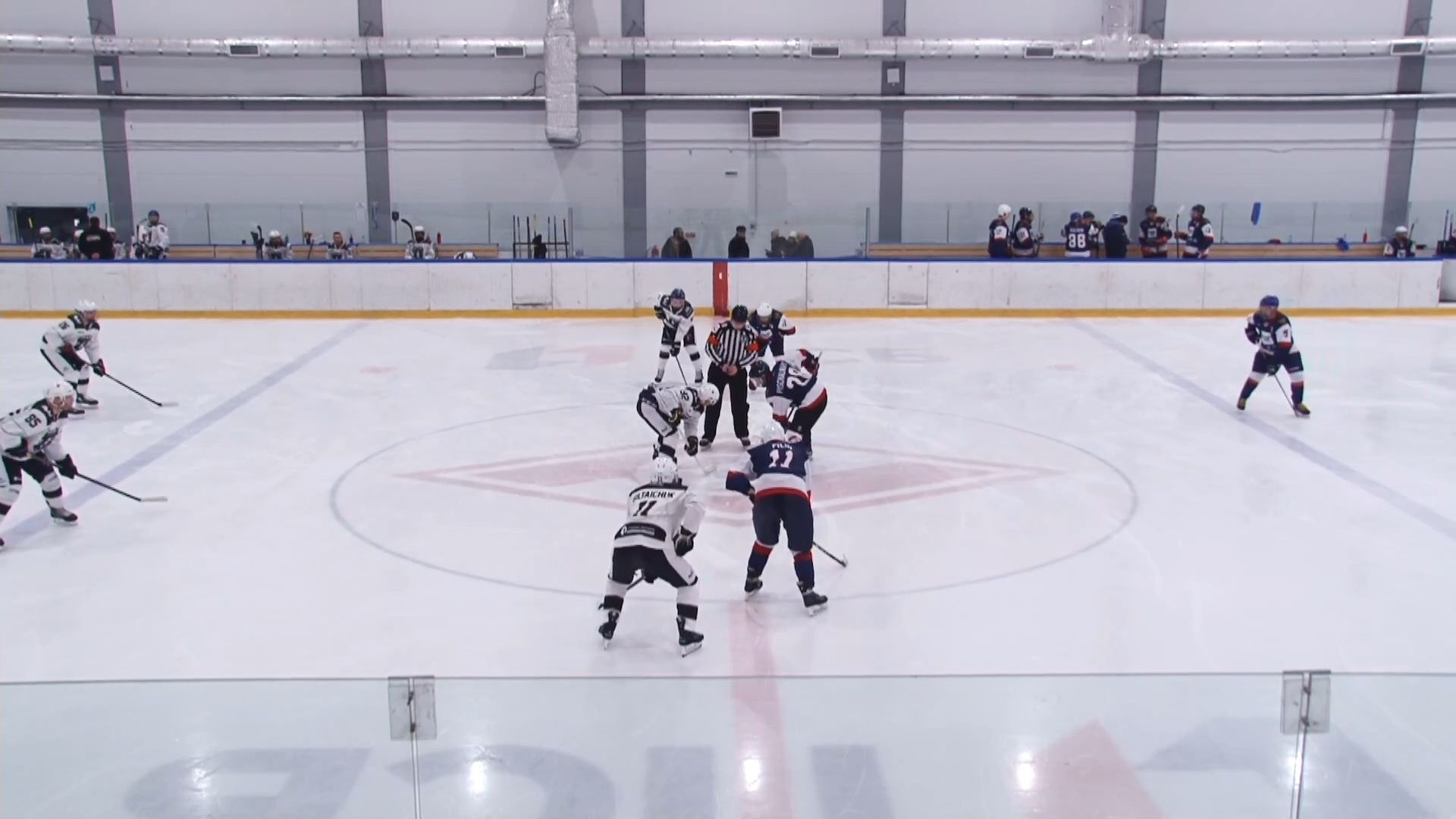 одинцово, хоккей, чп, денис мещеряков,НХЛ, Команда Титаны, Барвиха,