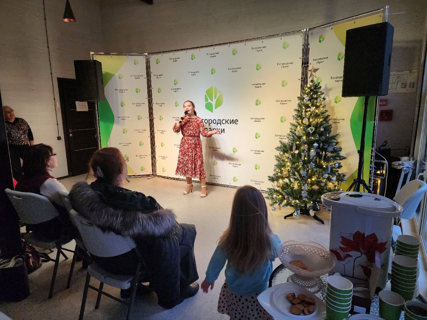 ногинск, жители, общество, праздник, парк, центральный парк, день матери, концерт, мама,