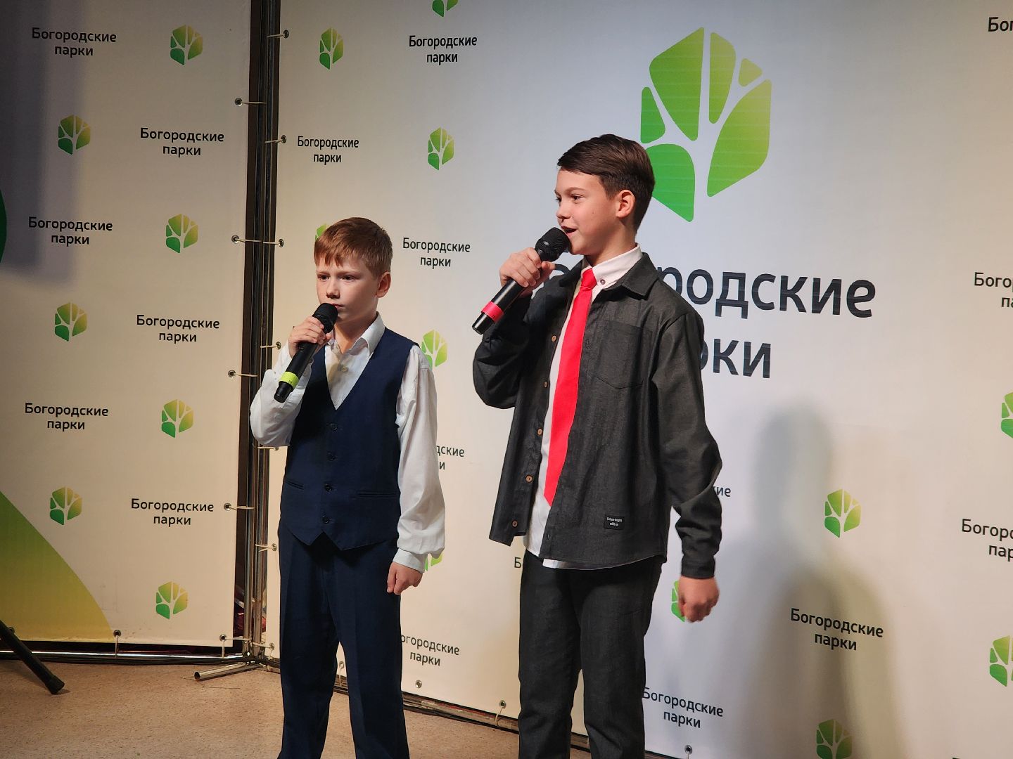 ногинск, жители, общество, праздник, парк, центральный парк, день матери, концерт, мама,