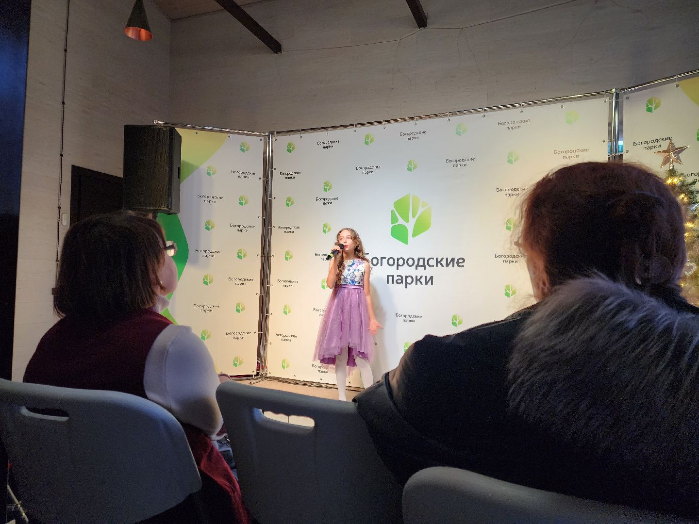 ногинск, жители, общество, праздник, парк, центральный парк, день матери, концерт, мама,