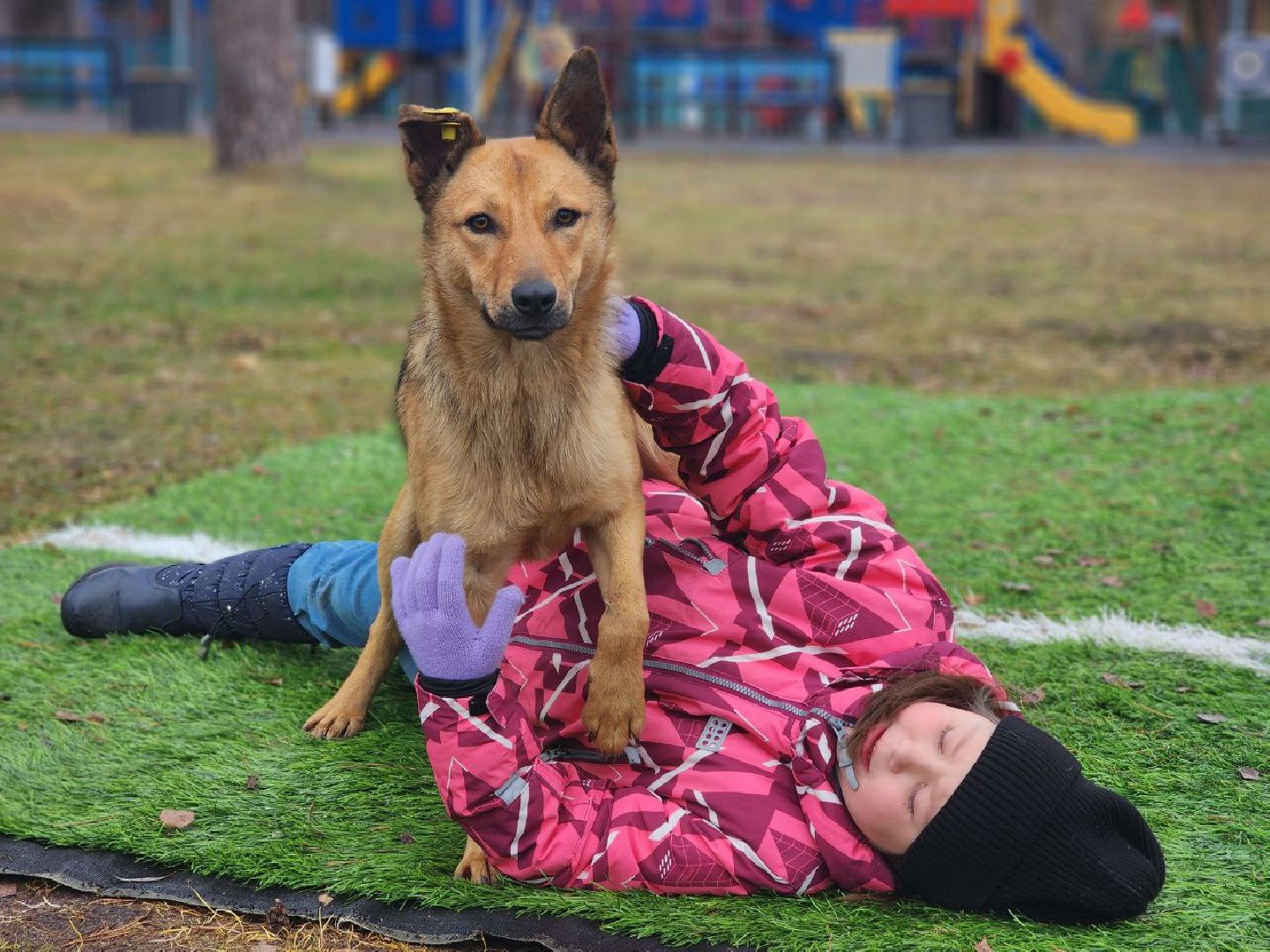 шатура, день матери, праздник, народные забавы, самовар, культура,