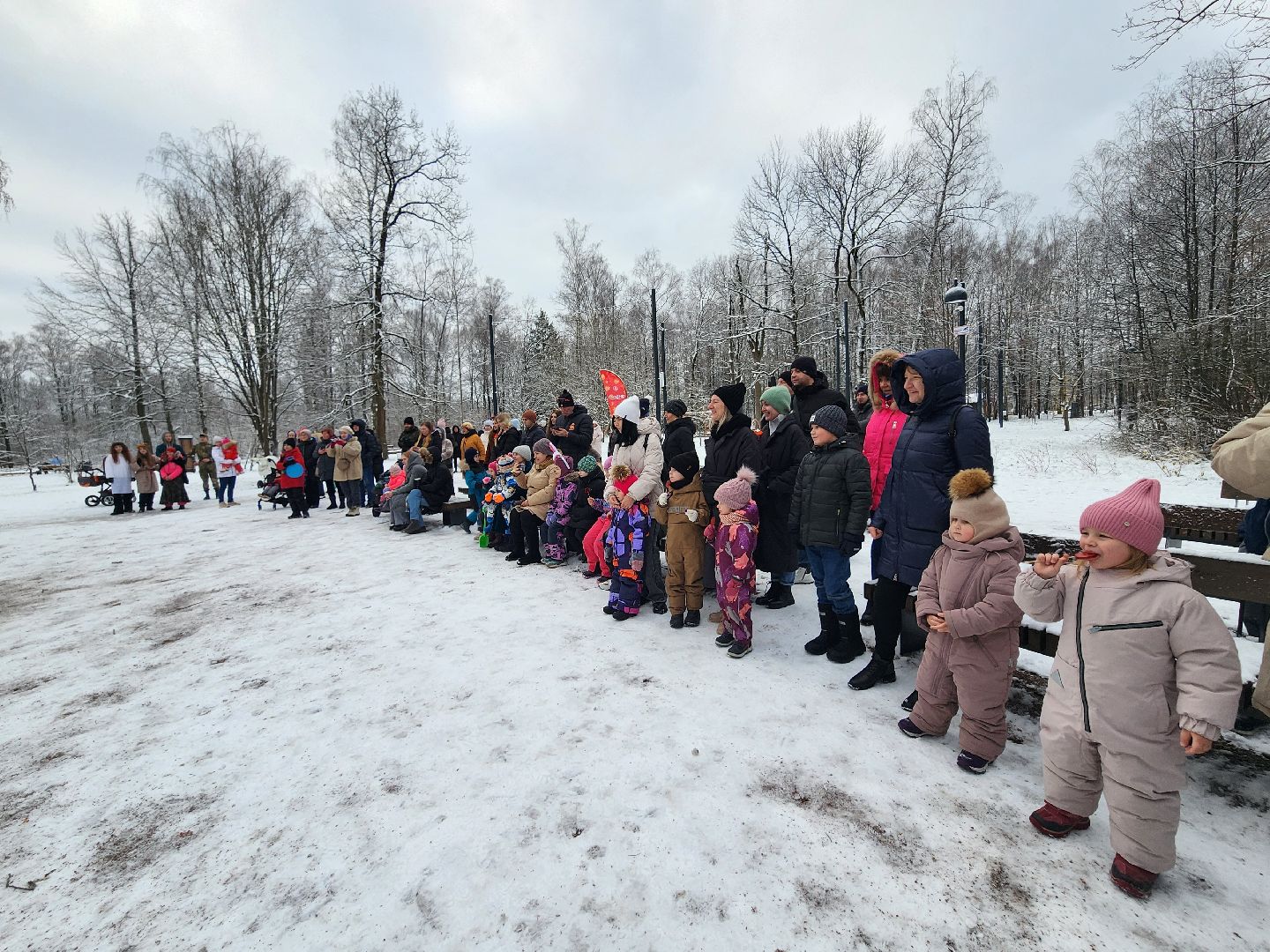 фрязино, день матери, кулинария, лесопарк, концерт, праздник, дети,
