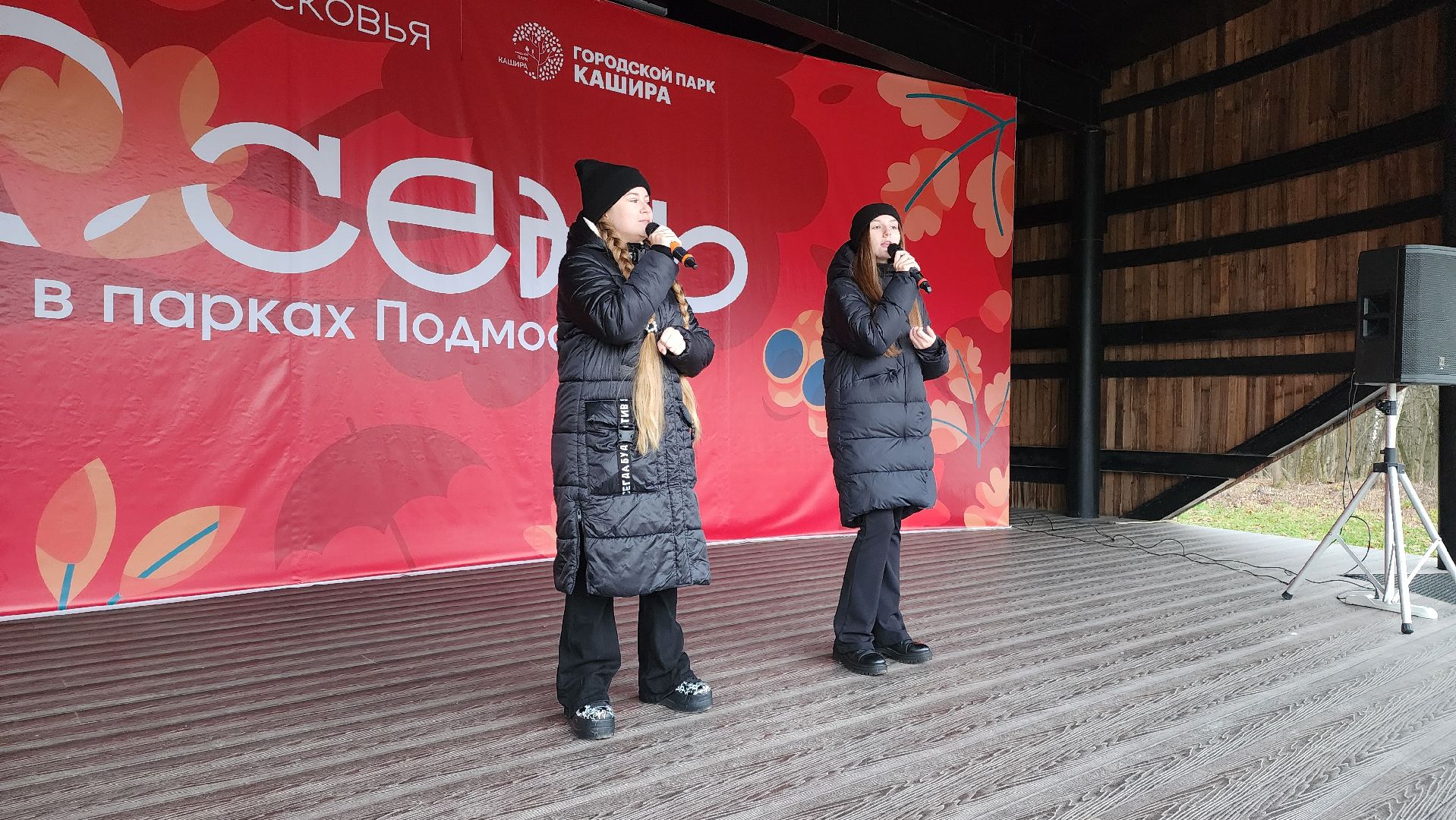 кашира, день матери, концерт, вертикалка,