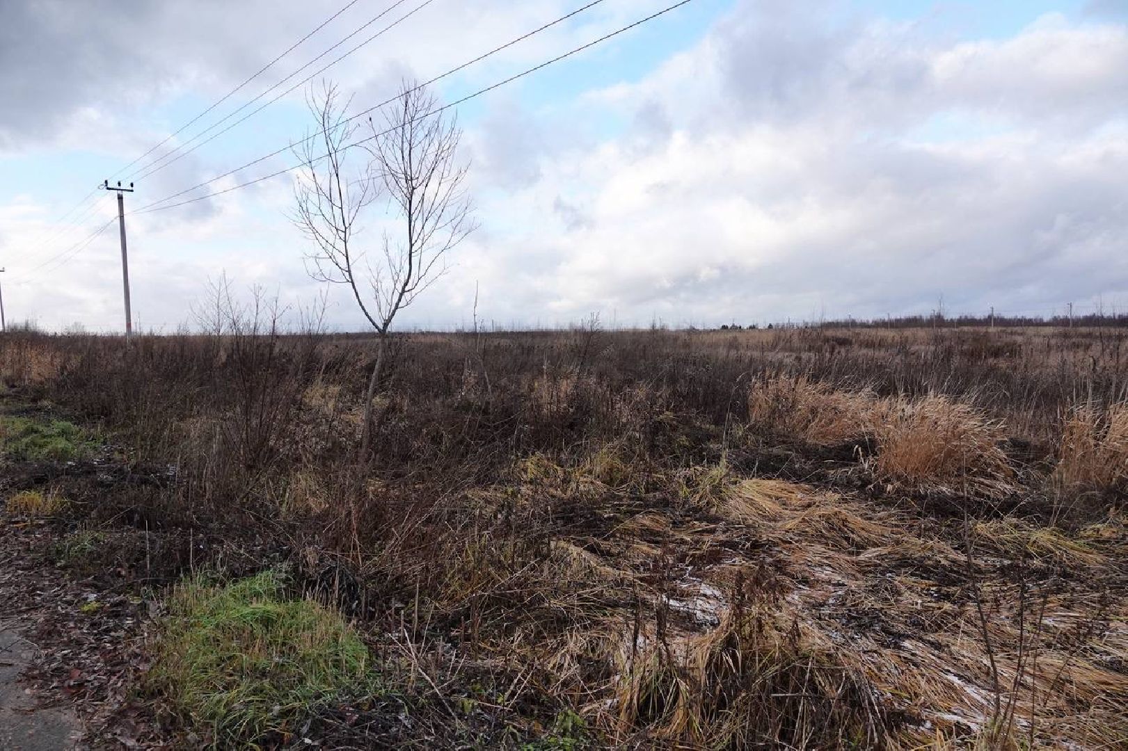Сергиев Посад, Сергиево-Посадский городской округ, Медицина, Здравоохранение, ФМБА, Стратегия пространственного развития Сергиева Посада,