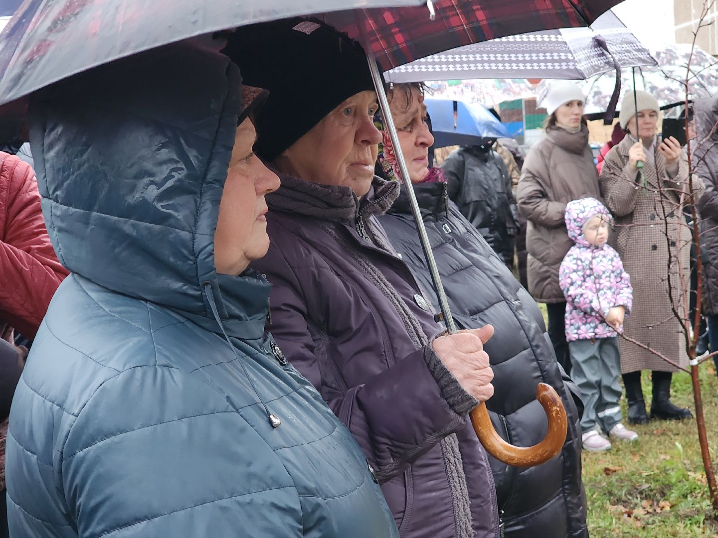 Егорьевск, Подмосковье, Московская область, сво, аллея славы, память, патриотизм,