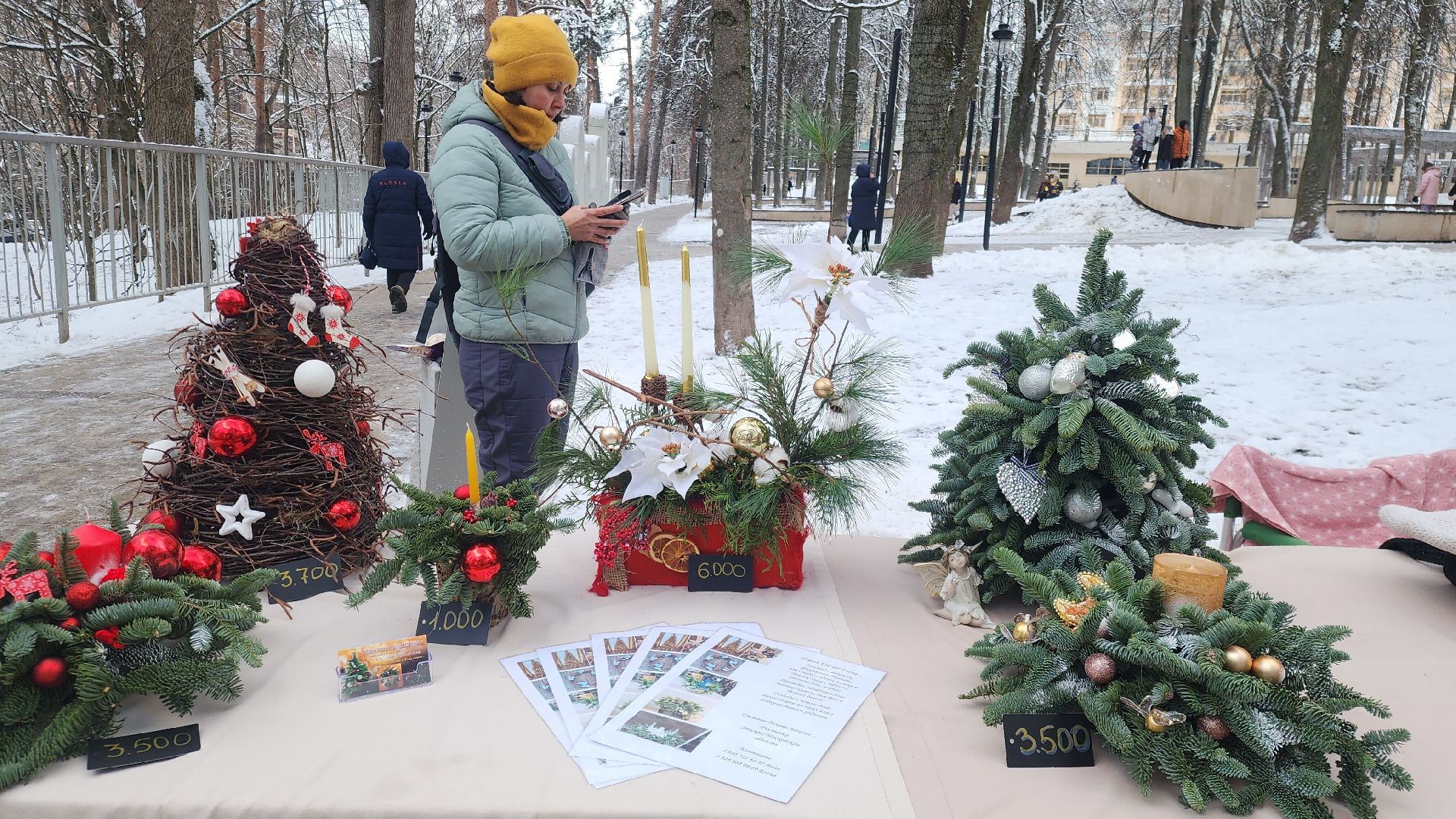 Звенигород, Городские парки, туризм в подмосковье, Досуг зимой, вертикалка, вертикальное видео,