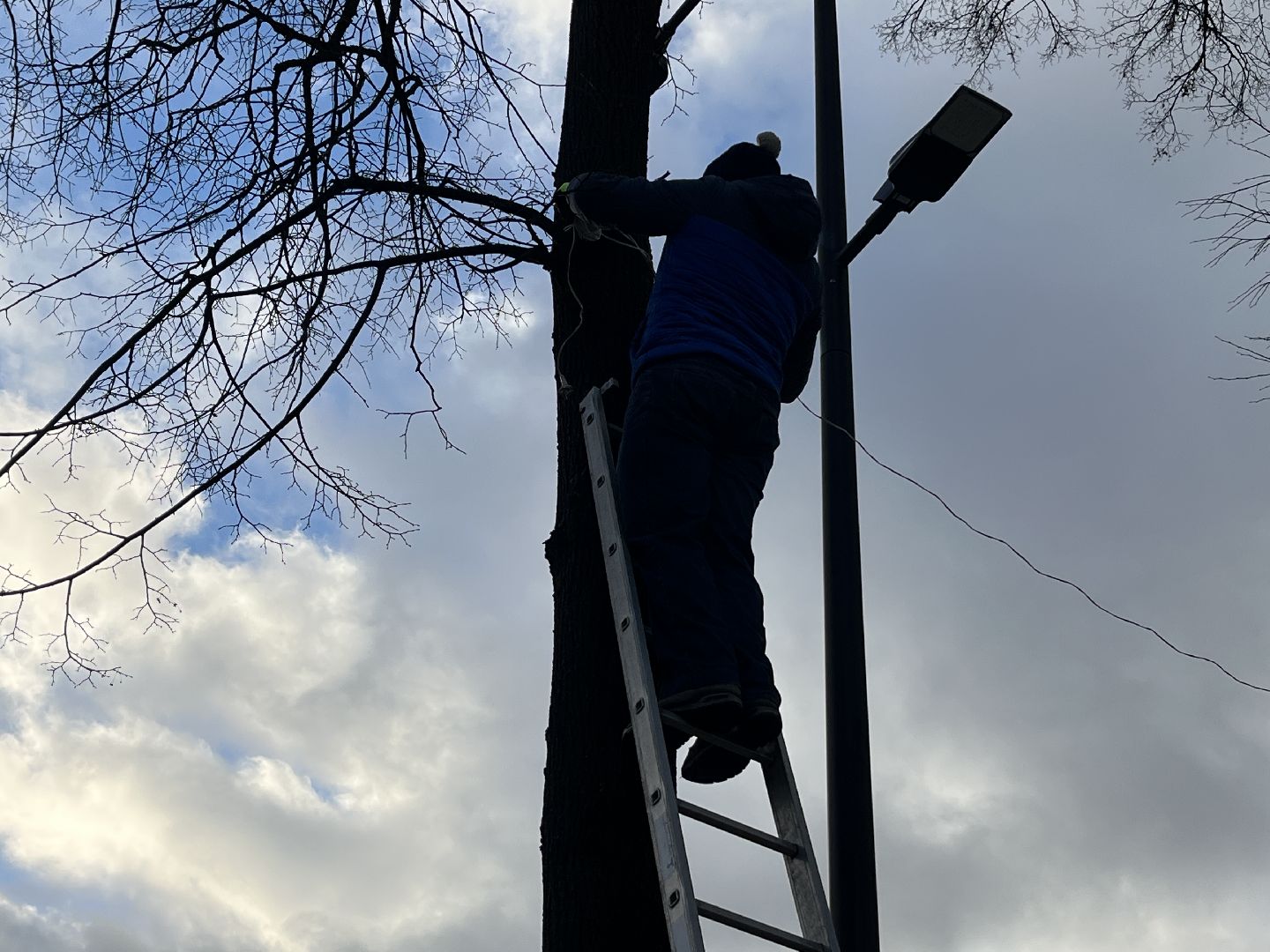 вертикальное видео, наро-фоминск, наро-фоминский городской округ, новогоднее украшение, новый год, вертикалка