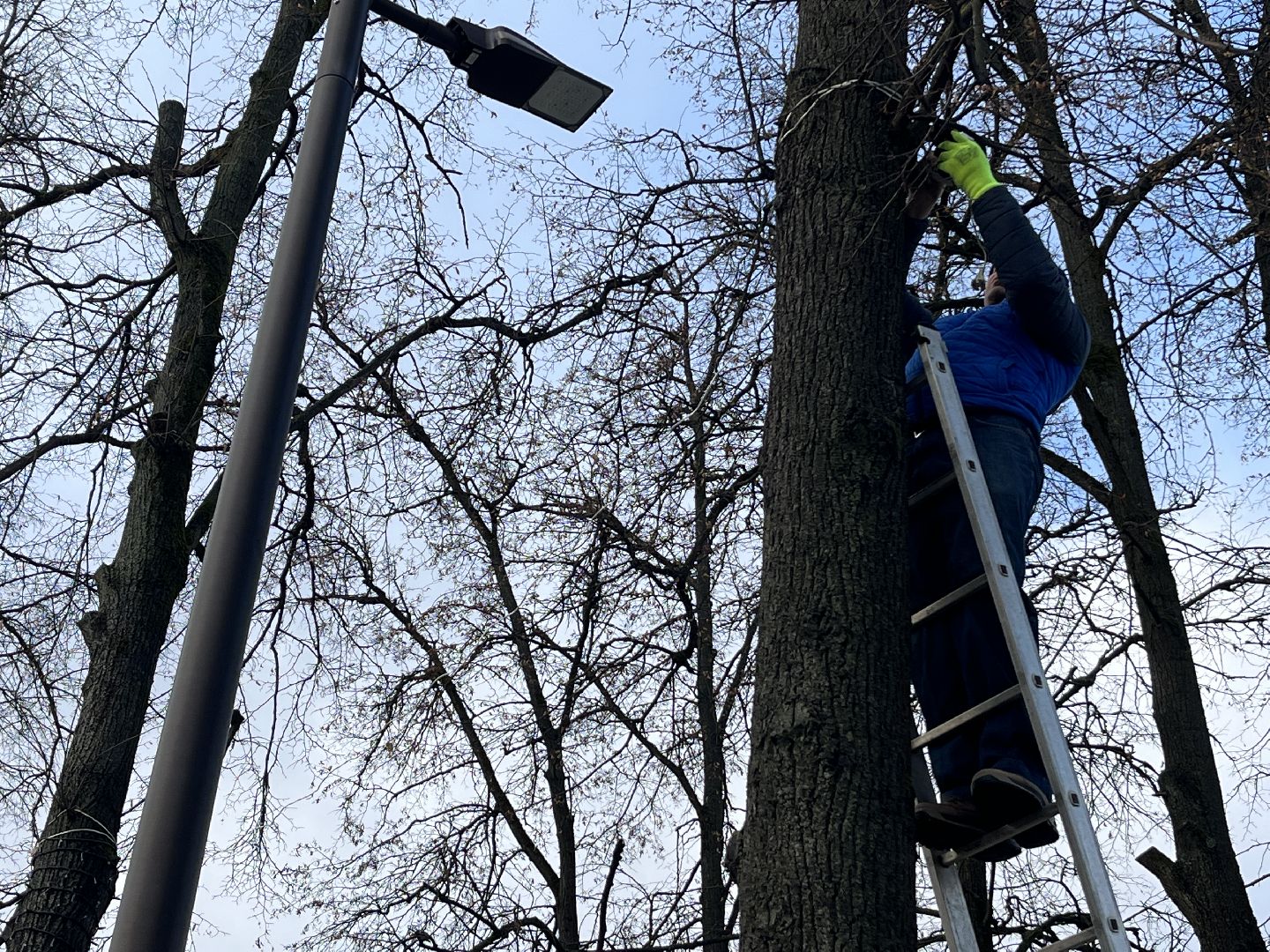 вертикальное видео, наро-фоминск, наро-фоминский городской округ, новогоднее украшение, новый год, вертикалка