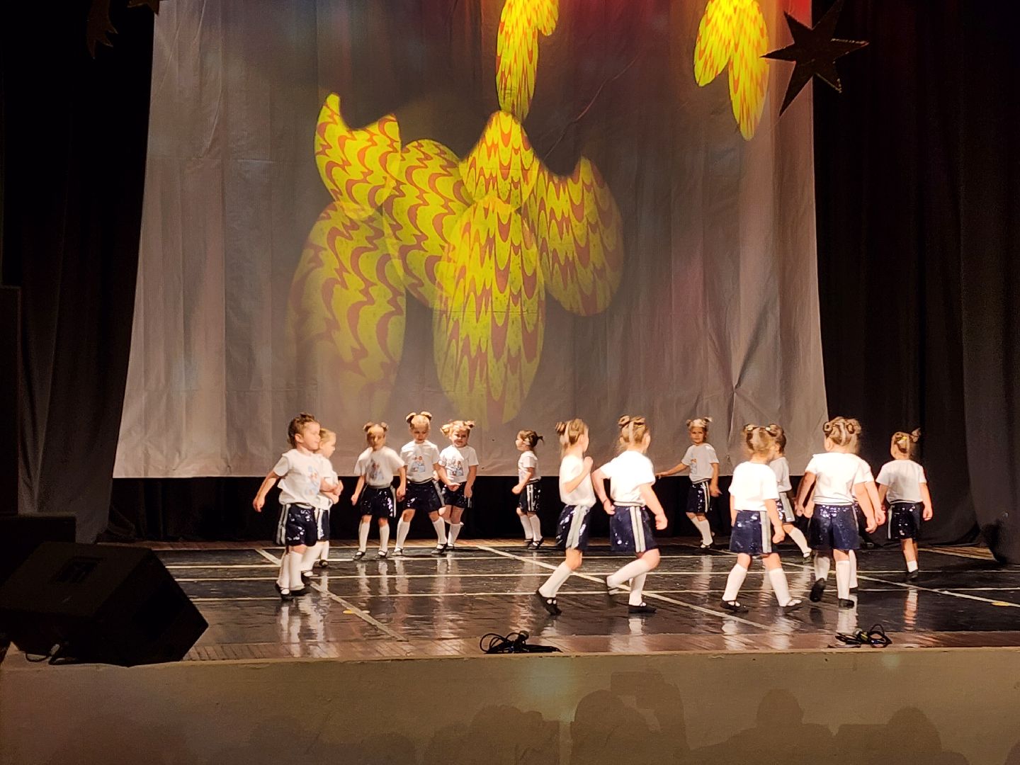 красноармейск, городской округ пушкинский, день матери, концерт, вертикалки,