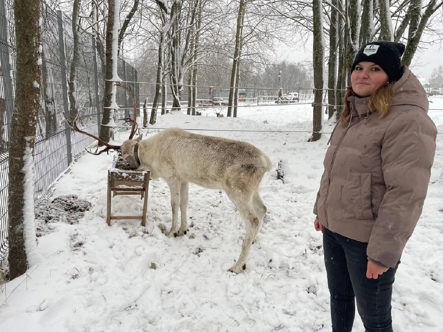 дмитров, зооферма шихово, туризм, вертикалки,