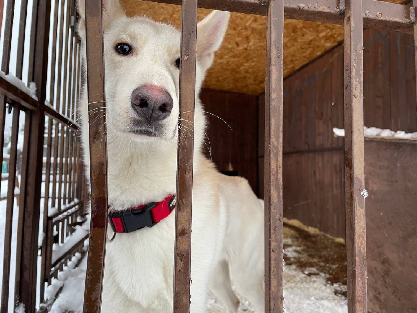 дмитров, зооферма шихово, туризм, вертикалки,