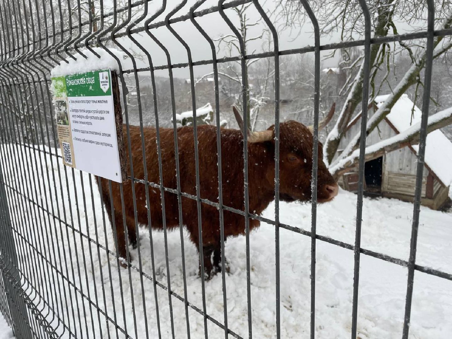 дмитров, зооферма шихово, туризм, вертикалки,