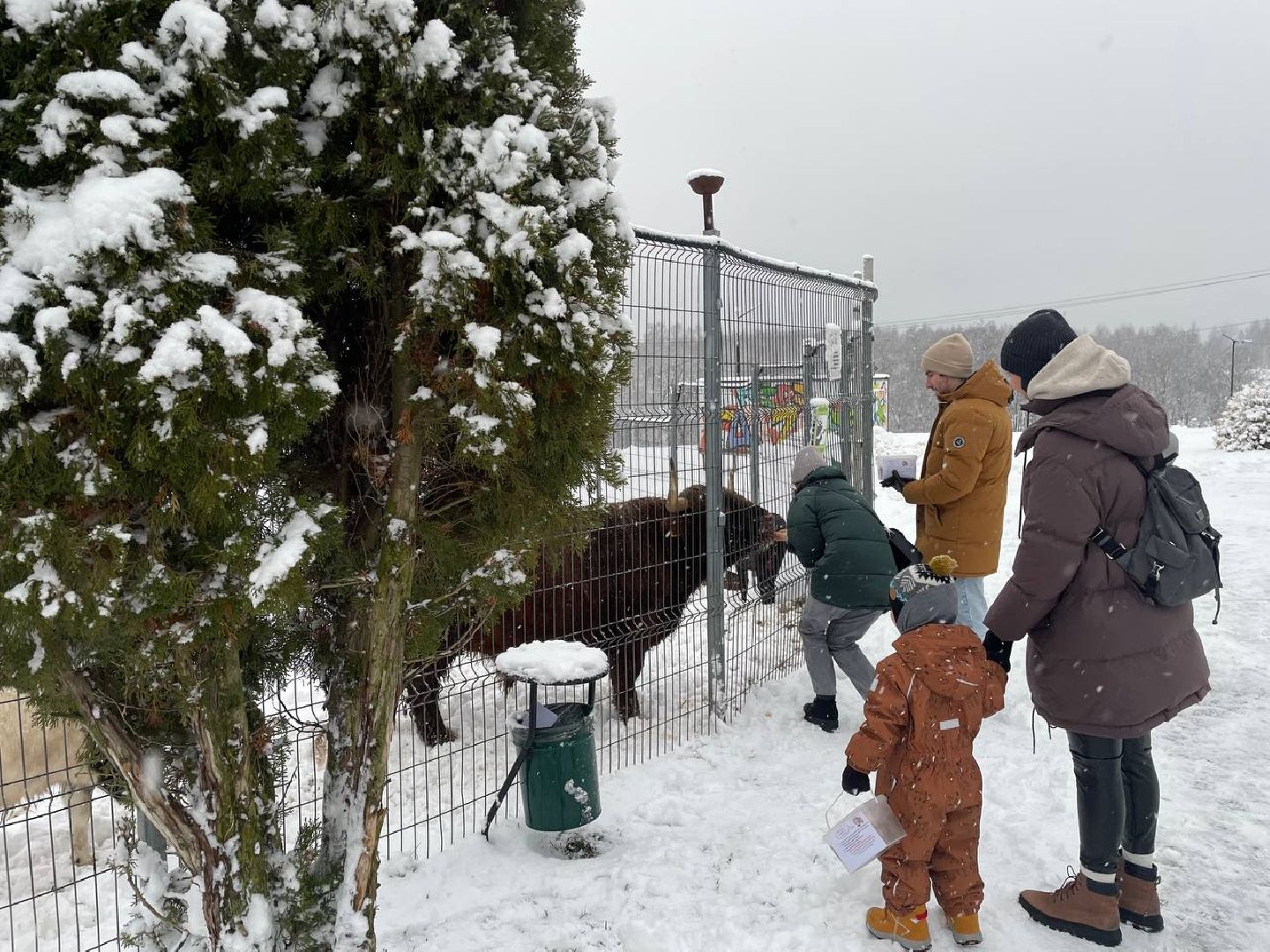 дмитров, зооферма шихово, туризм, вертикалки,