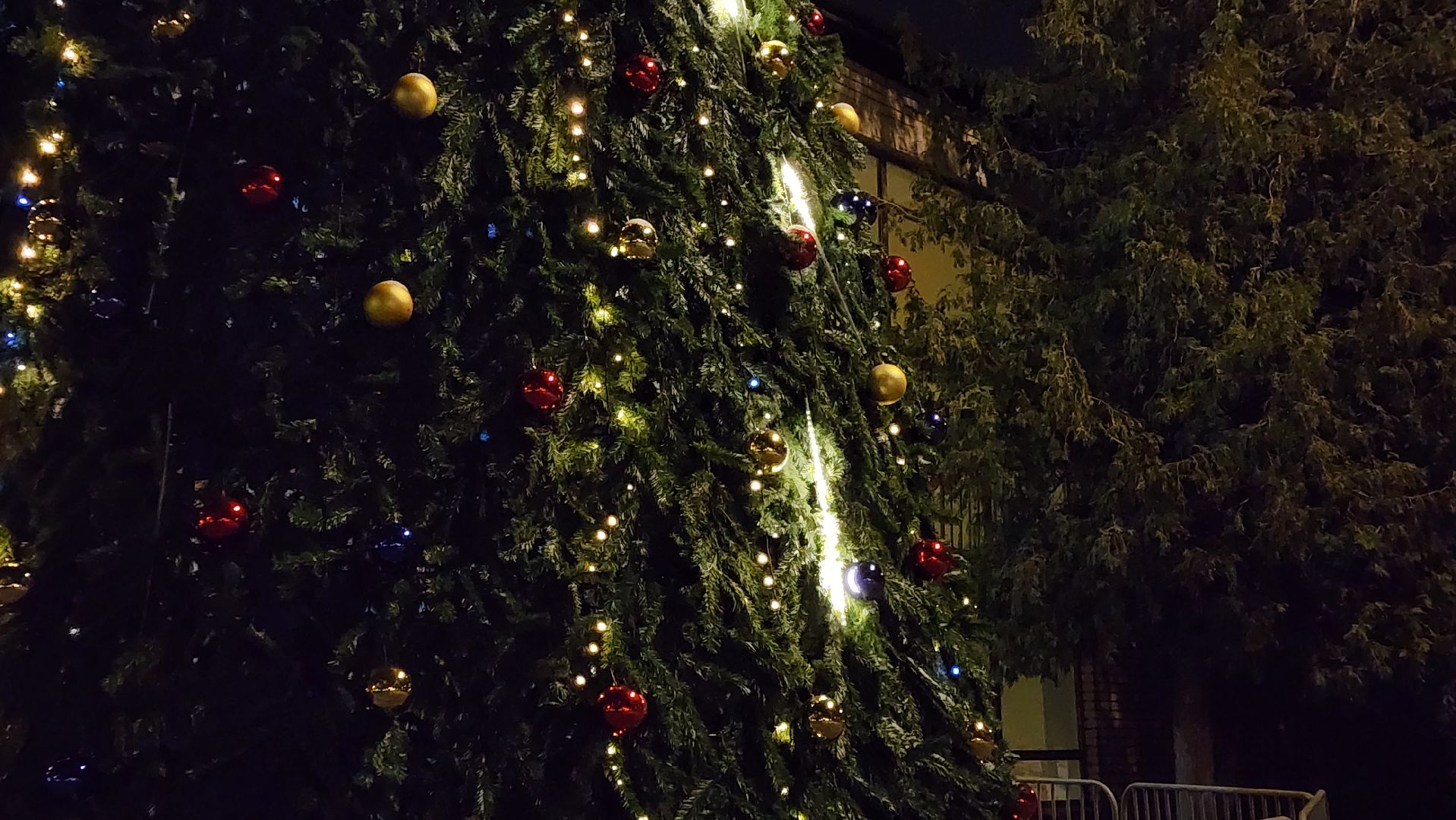 вертикалка, новый год, елка,