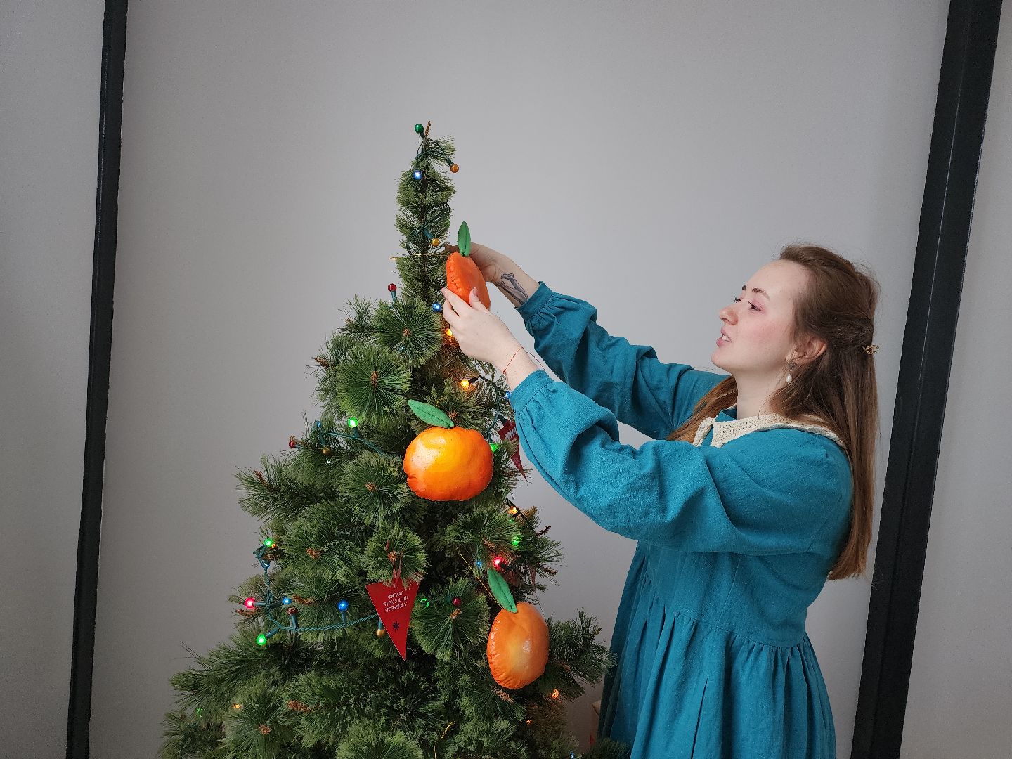 Егорьевск, Подмосковье, Московская область, новый год, резиденция деда мороза,