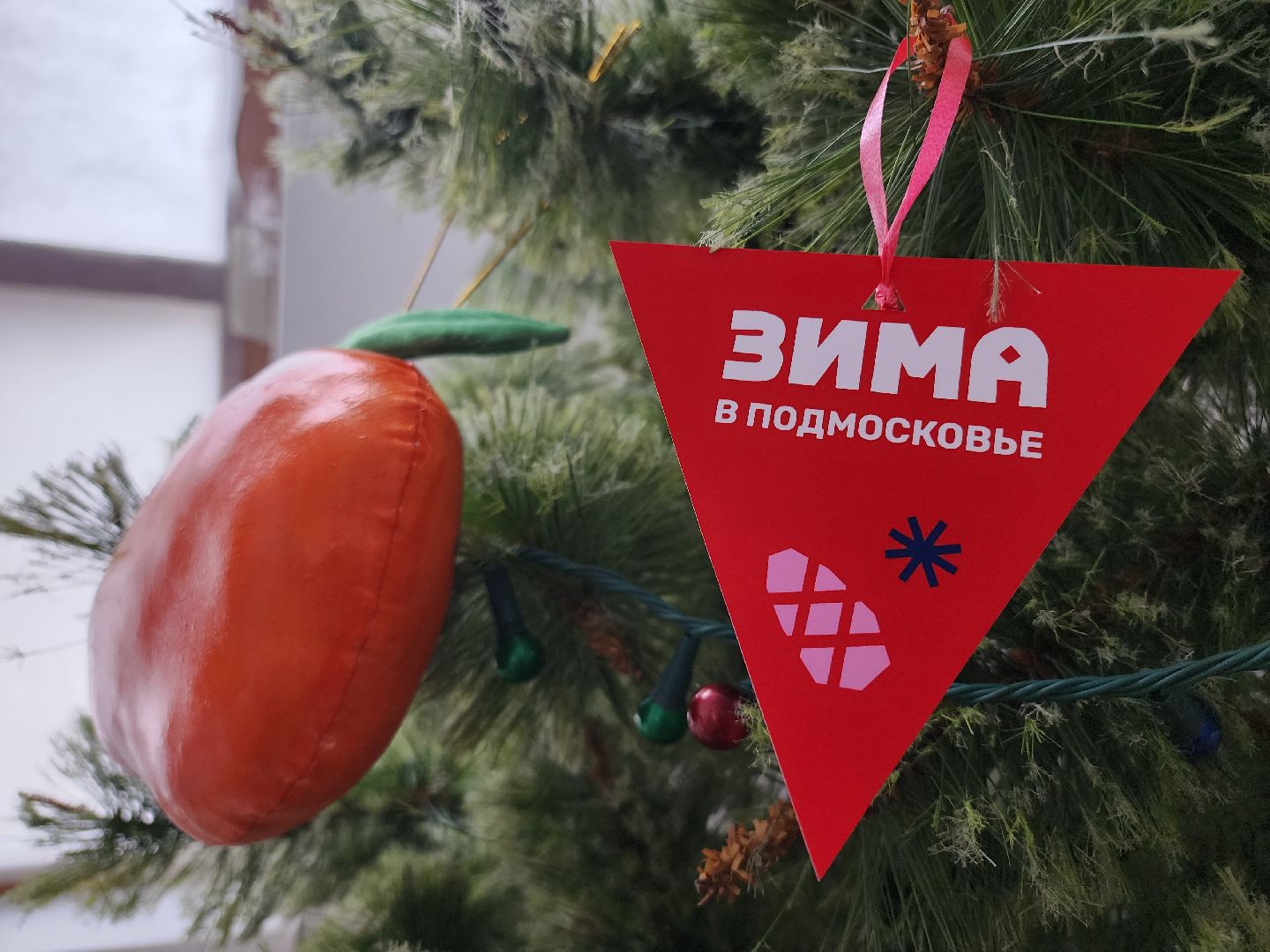 Егорьевск, Подмосковье, Московская область, новый год, резиденция деда мороза,