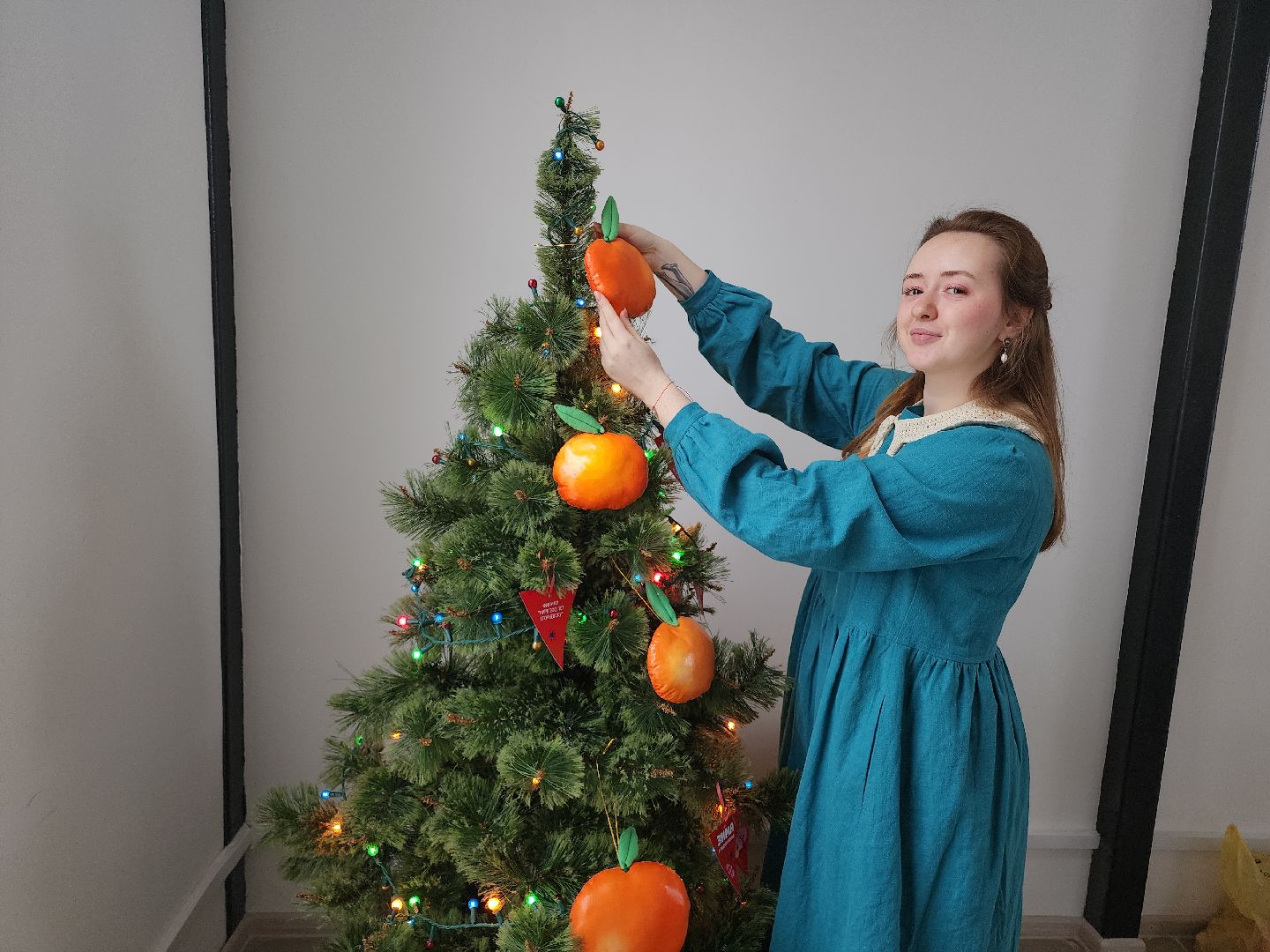 Егорьевск, Подмосковье, Московская область, новый год, резиденция деда мороза,