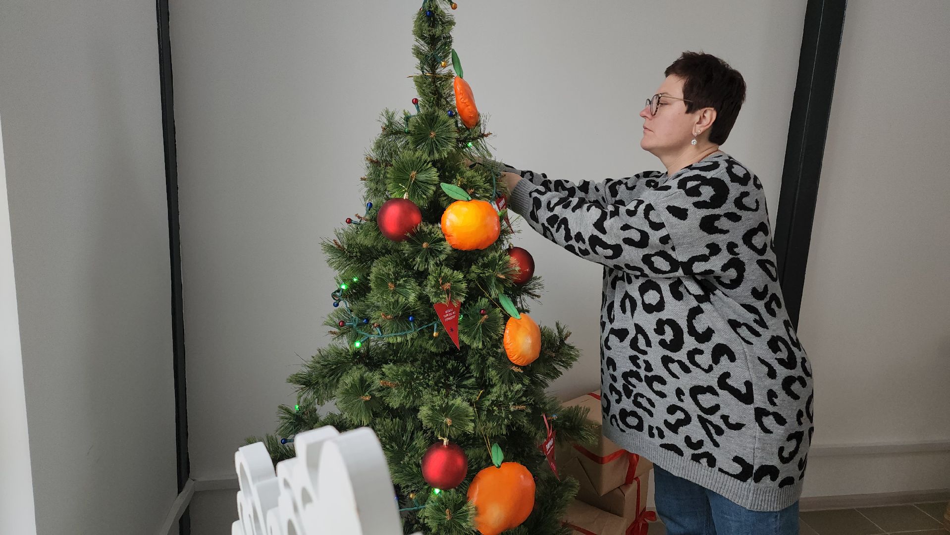Егорьевск, Подмосковье, Московская область, новый год, резиденция деда мороза,