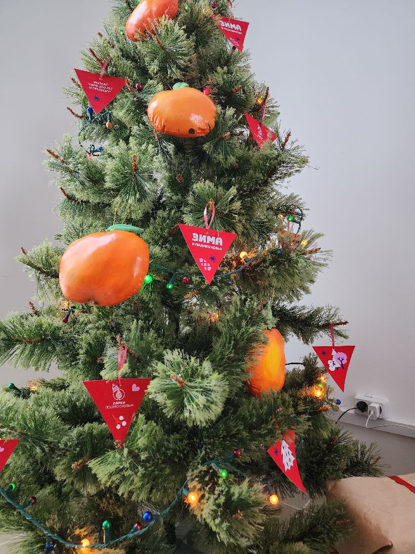 Егорьевск, Подмосковье, Московская область, новый год, резиденция деда мороза,