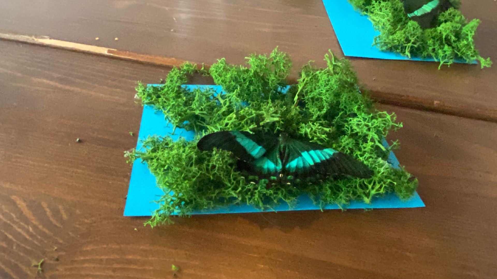 День матери, Мастер-класс, мастер-класс для детей,