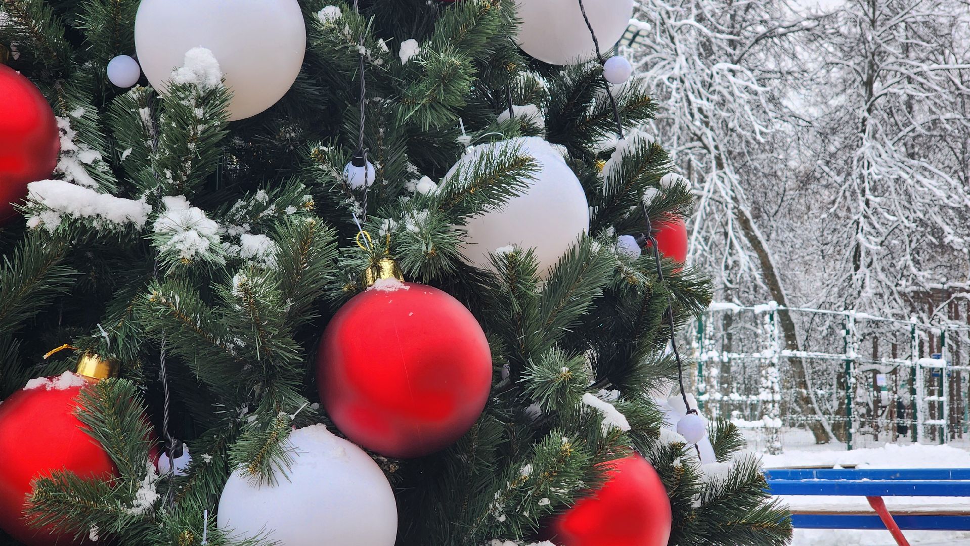 Солнечногорск, вертикалки, каток, зима в подмосковье, каток в парке,