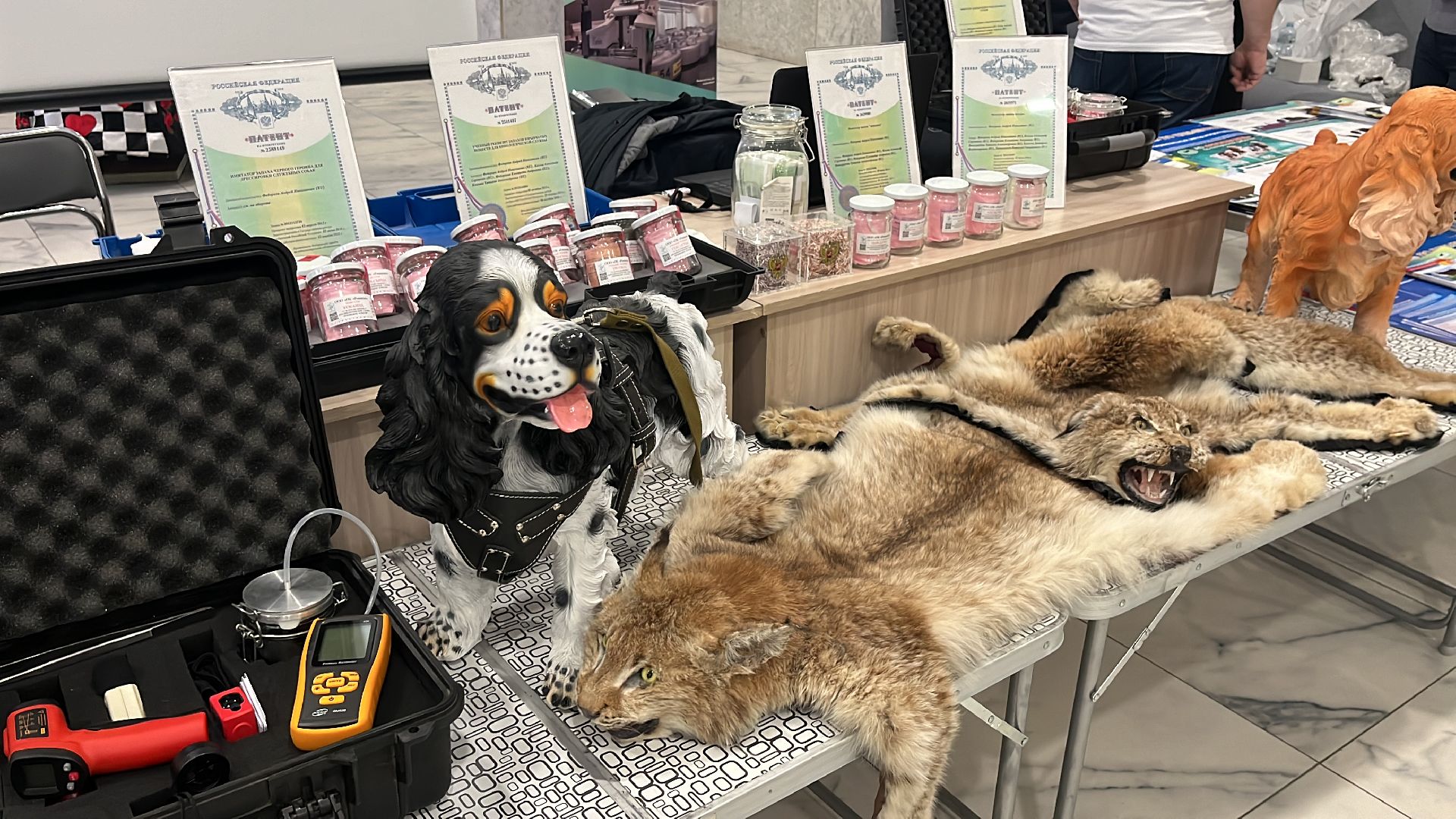 образование, образование в балашихе, университет, университет балашиха, университет вернадского, день открытых дверей,