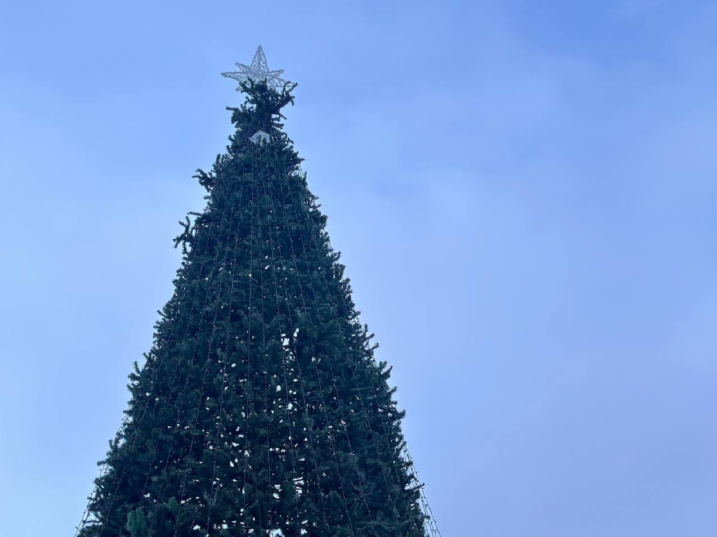 Реутов, вертикалки, символ года, установка елки, елка, пушистая красавица, искусственная ель,