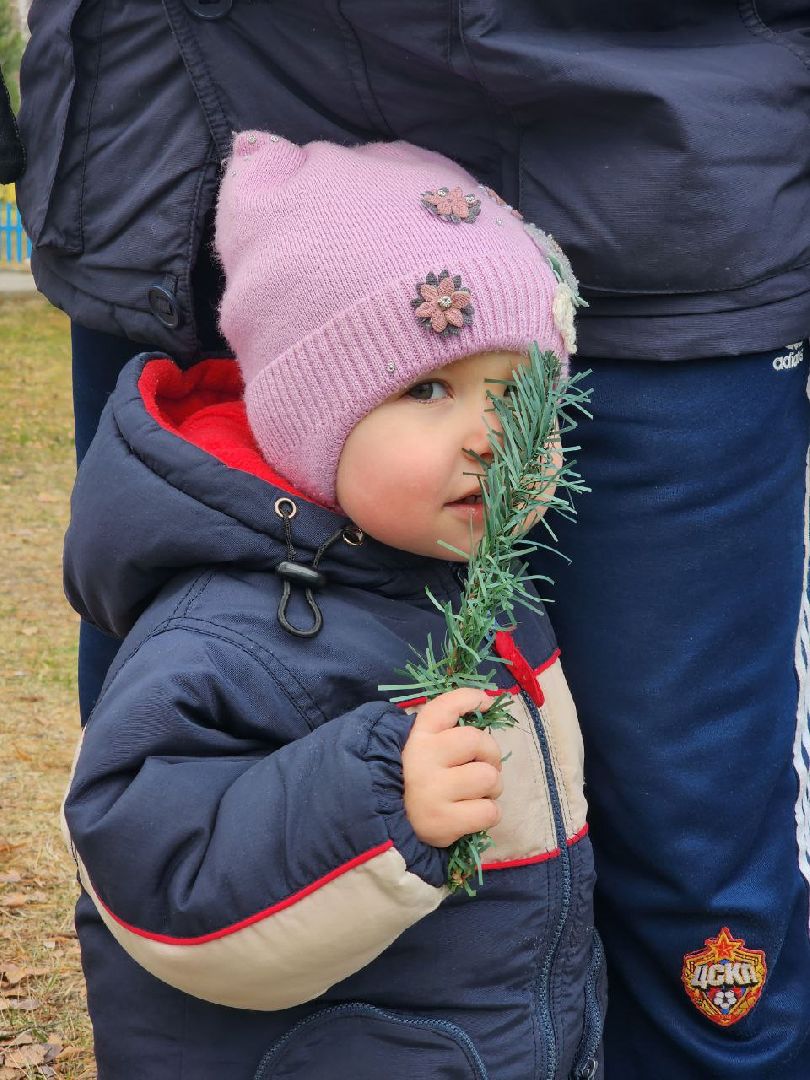 шатура 2024, зима, благоустройство, новый год, парки, вертикалки,
